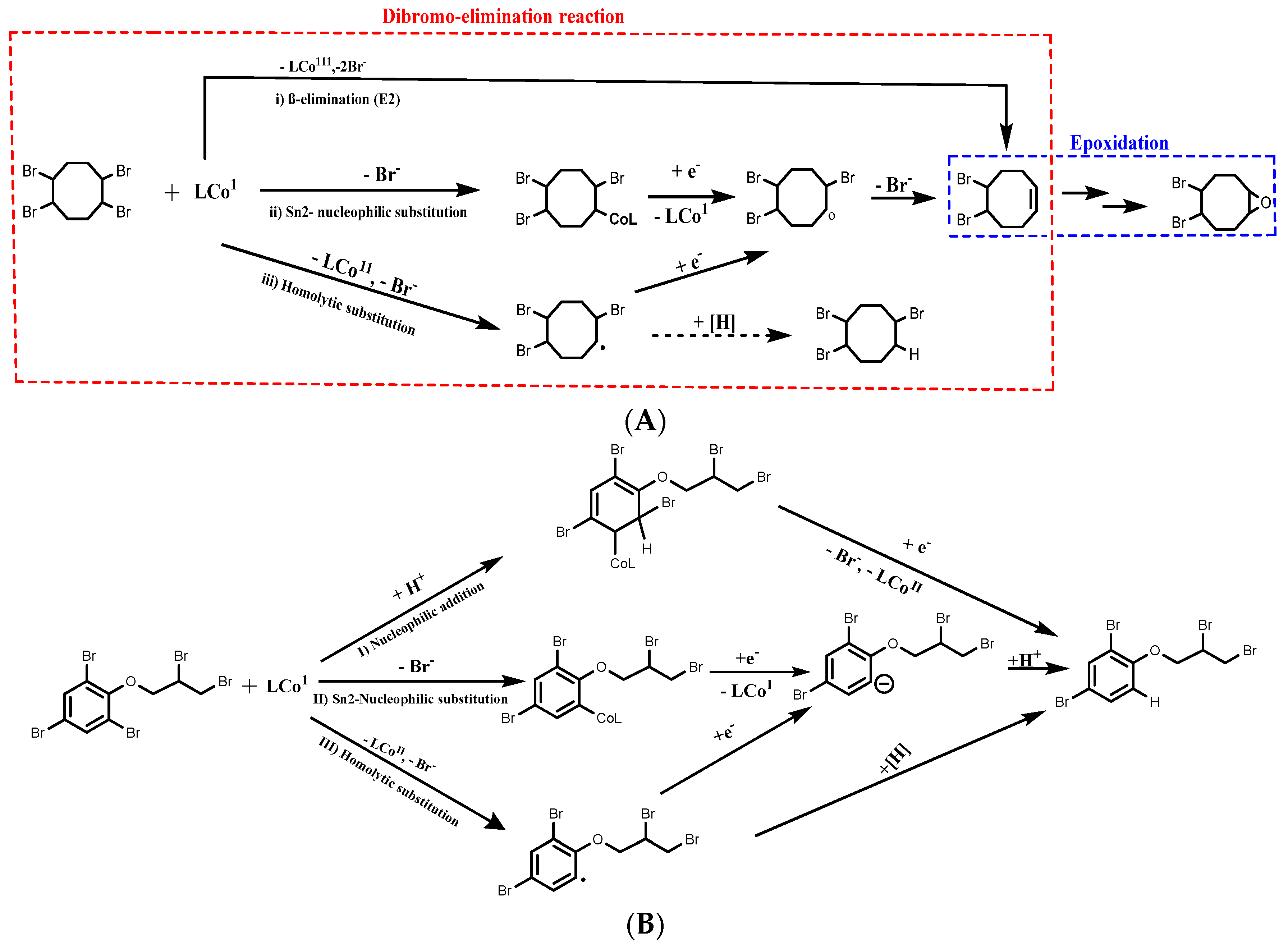 Applsci 14 07892 g003