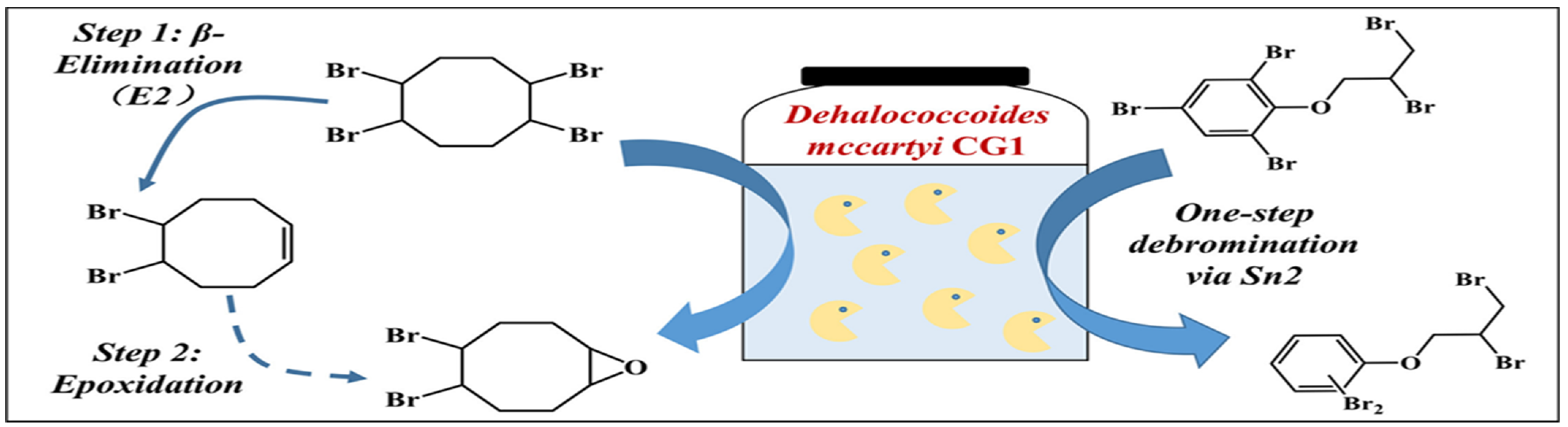 Applsci 14 07892 g004