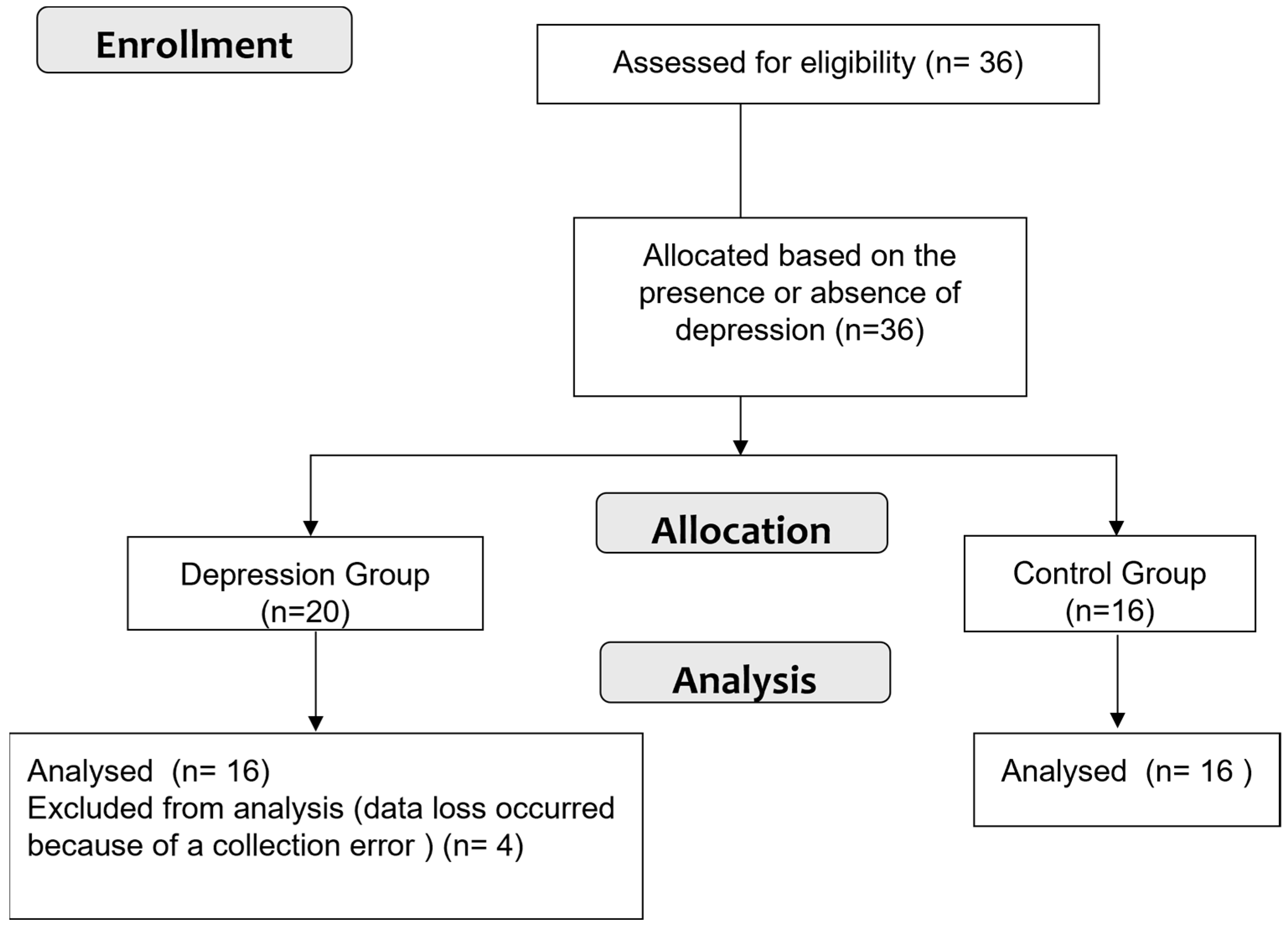 Applsci 14 07901 g001