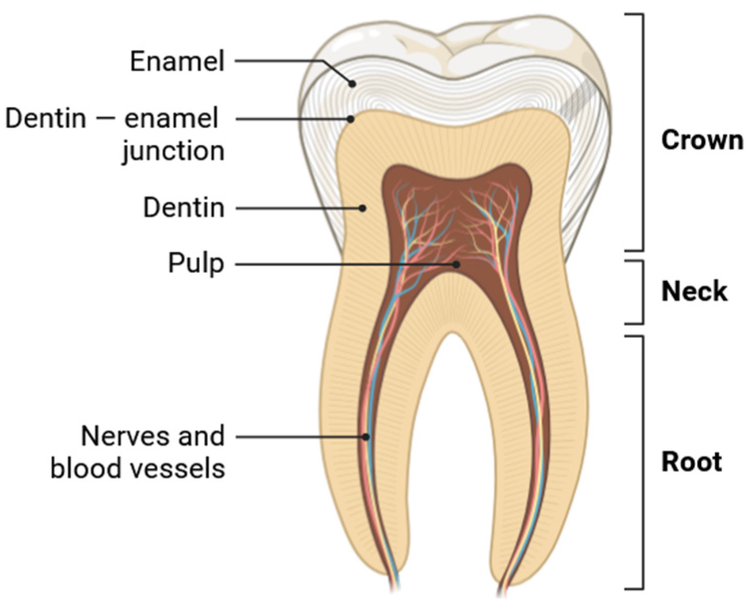 Applsci 14 07912 g001