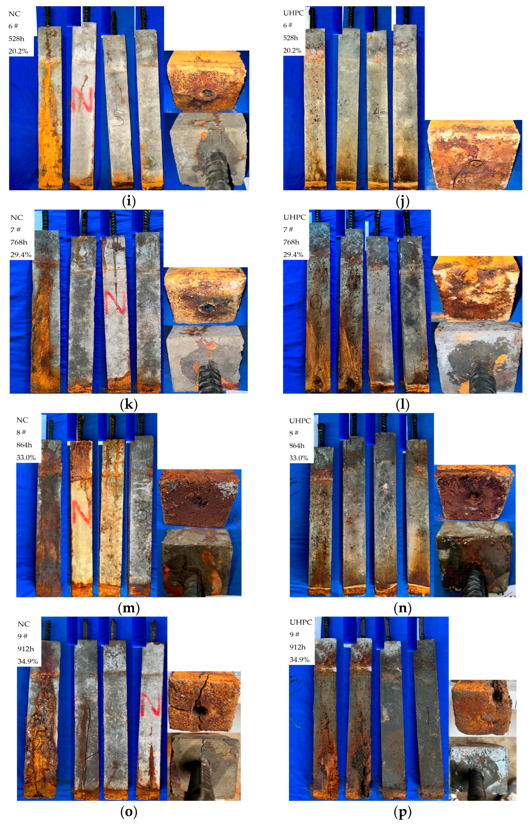 Applsci 14 07969 g006b