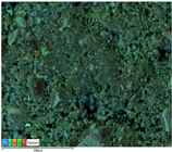 Applsci 14 07973 i001