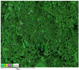 Applsci 14 07973 i002