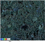 Applsci 14 07973 i005