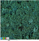 Applsci 14 07973 i007