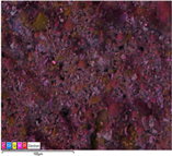 Applsci 14 07973 i009