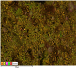 Applsci 14 07973 i010