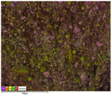 Applsci 14 07973 i013