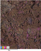 Applsci 14 07973 i019