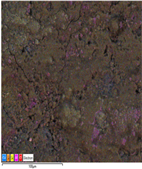 Applsci 14 07973 i020