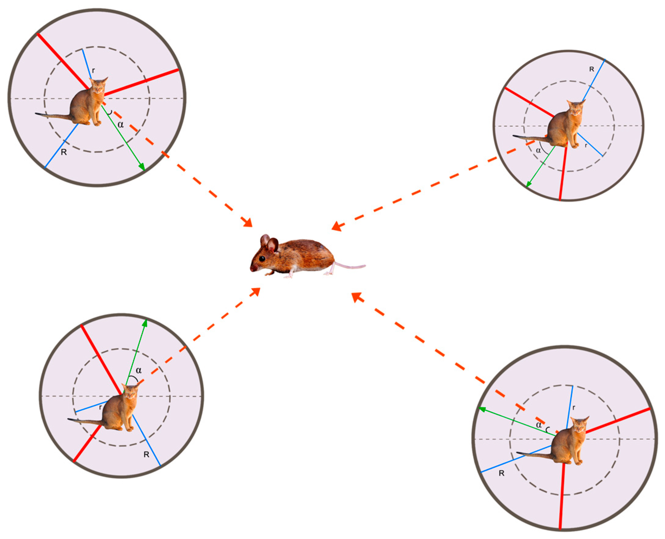 Applsci 14 08024 g003