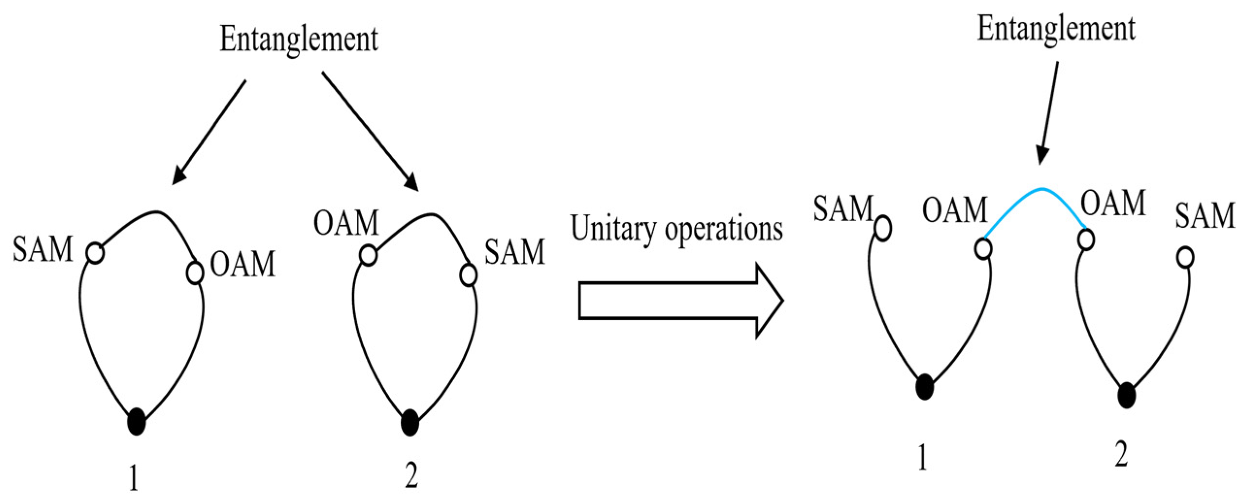 Applsci 14 08035 g003