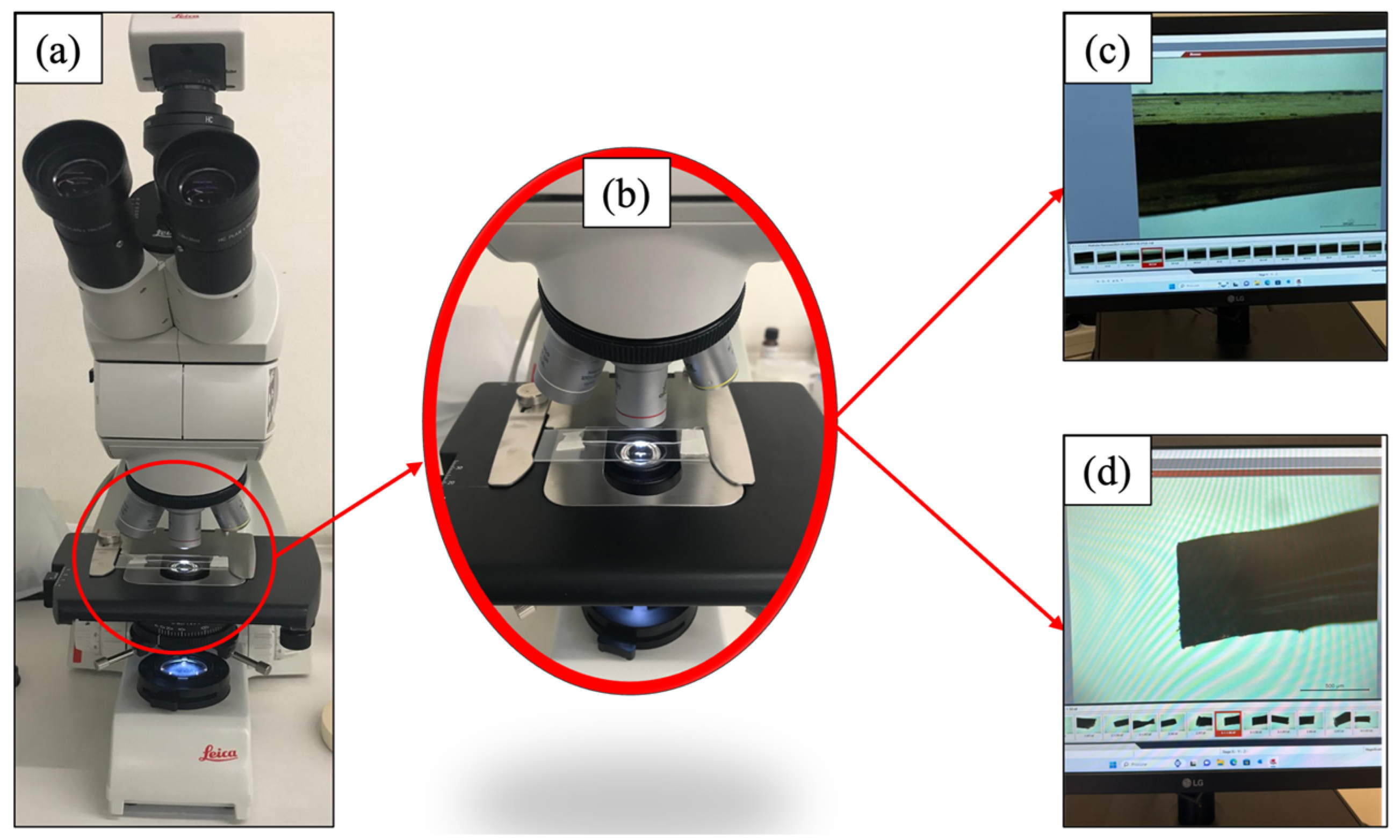 Applsci 14 08050 g007