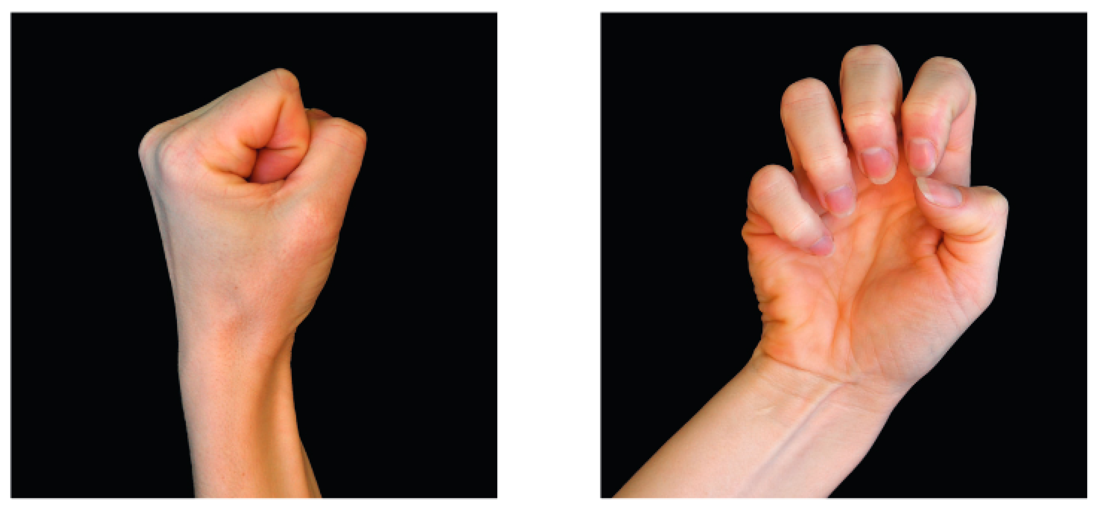 Applsci 14 08102 g001 Applsci 14 08102 g001