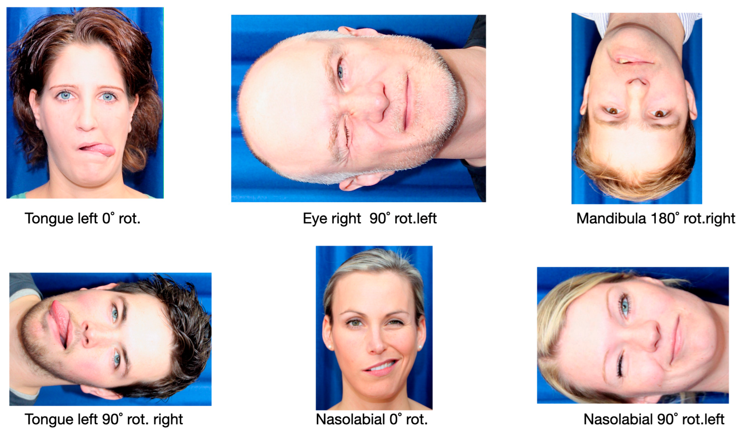 Applsci 14 08102 g003 Applsci 14 08102 g003