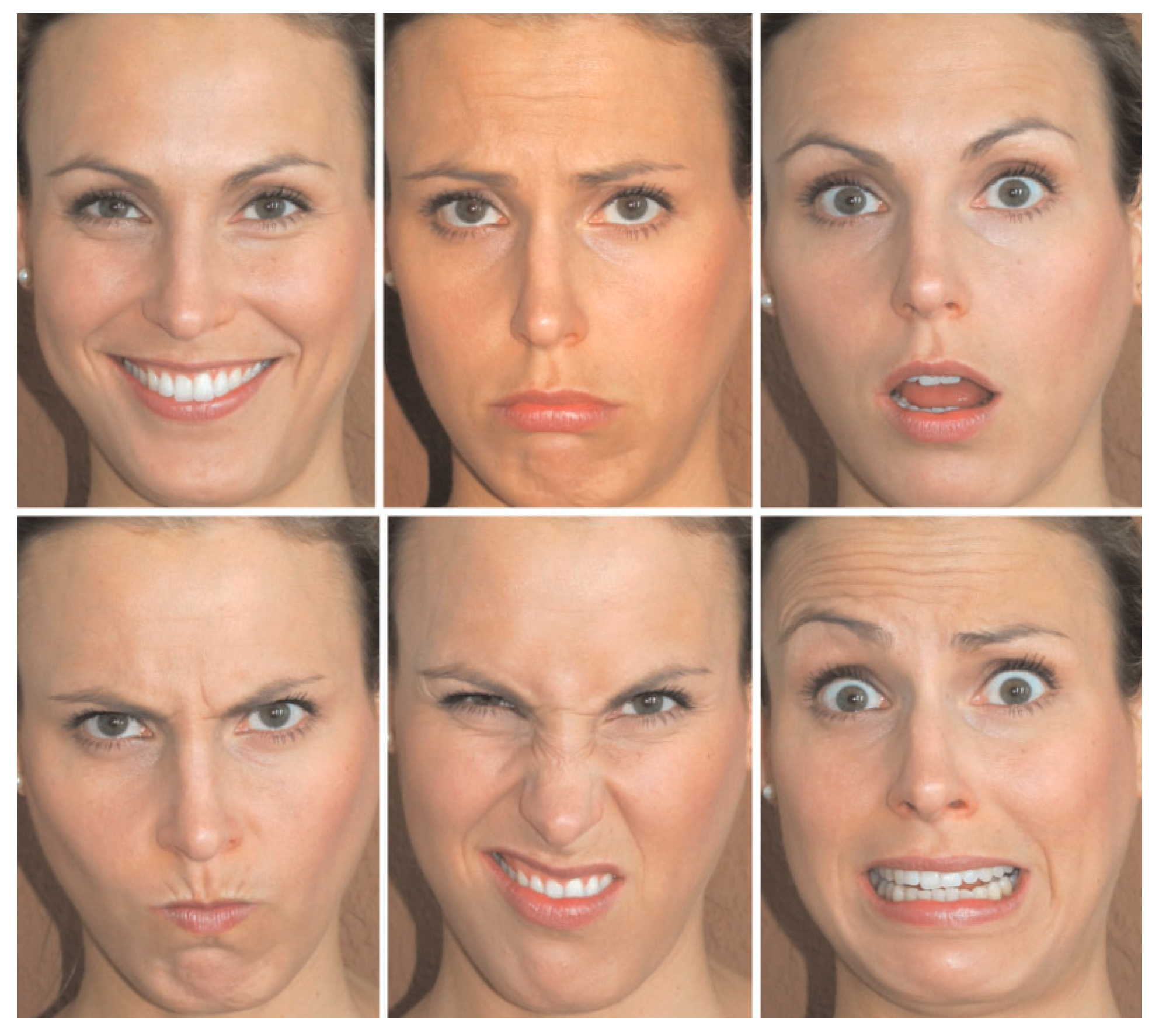 Applsci 14 08102 g004 Applsci 14 08102 g004