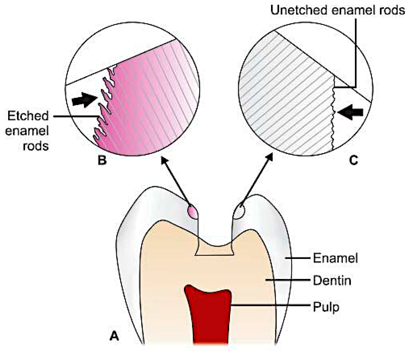 Applsci 14 08111 g007
