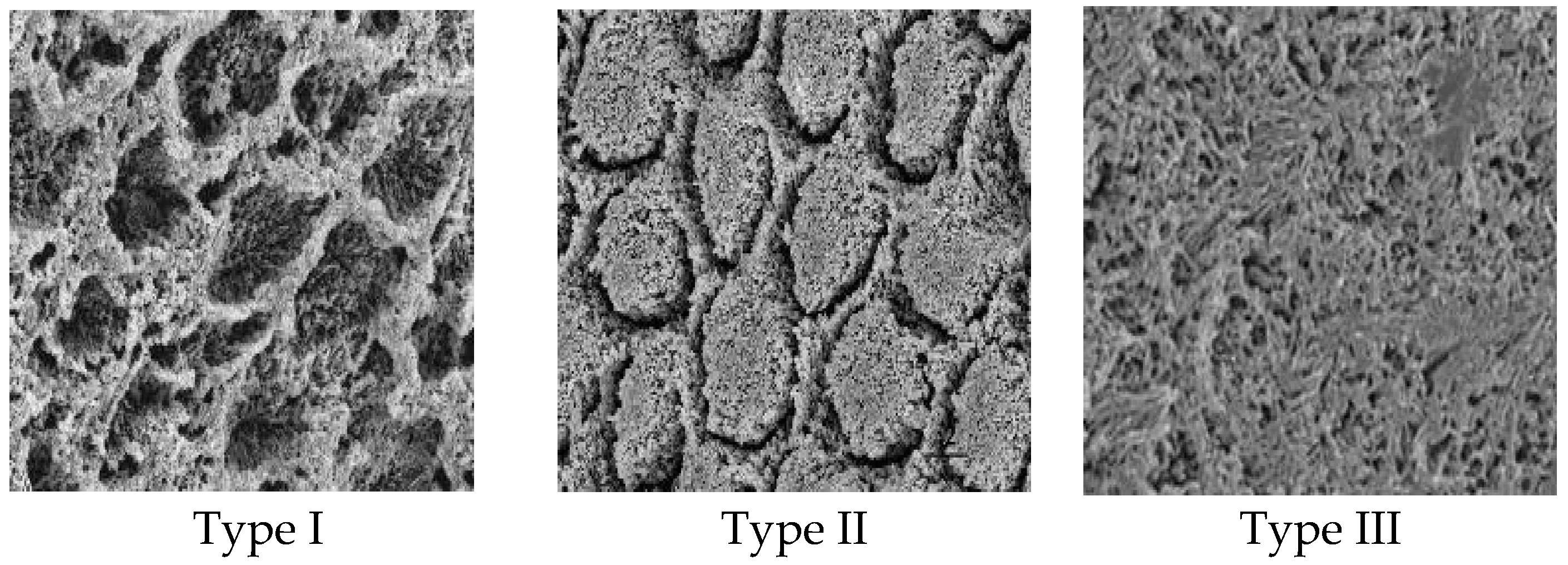 Applsci 14 08111 g008