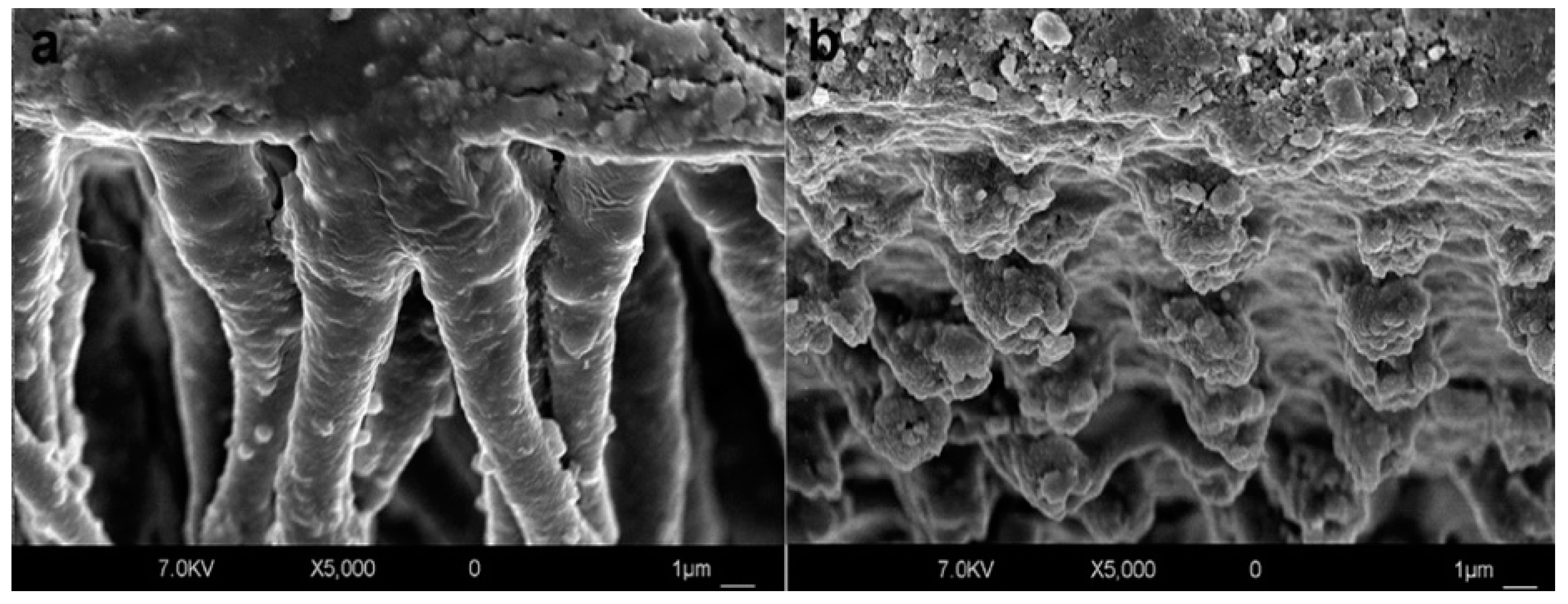 Applsci 14 08111 g015