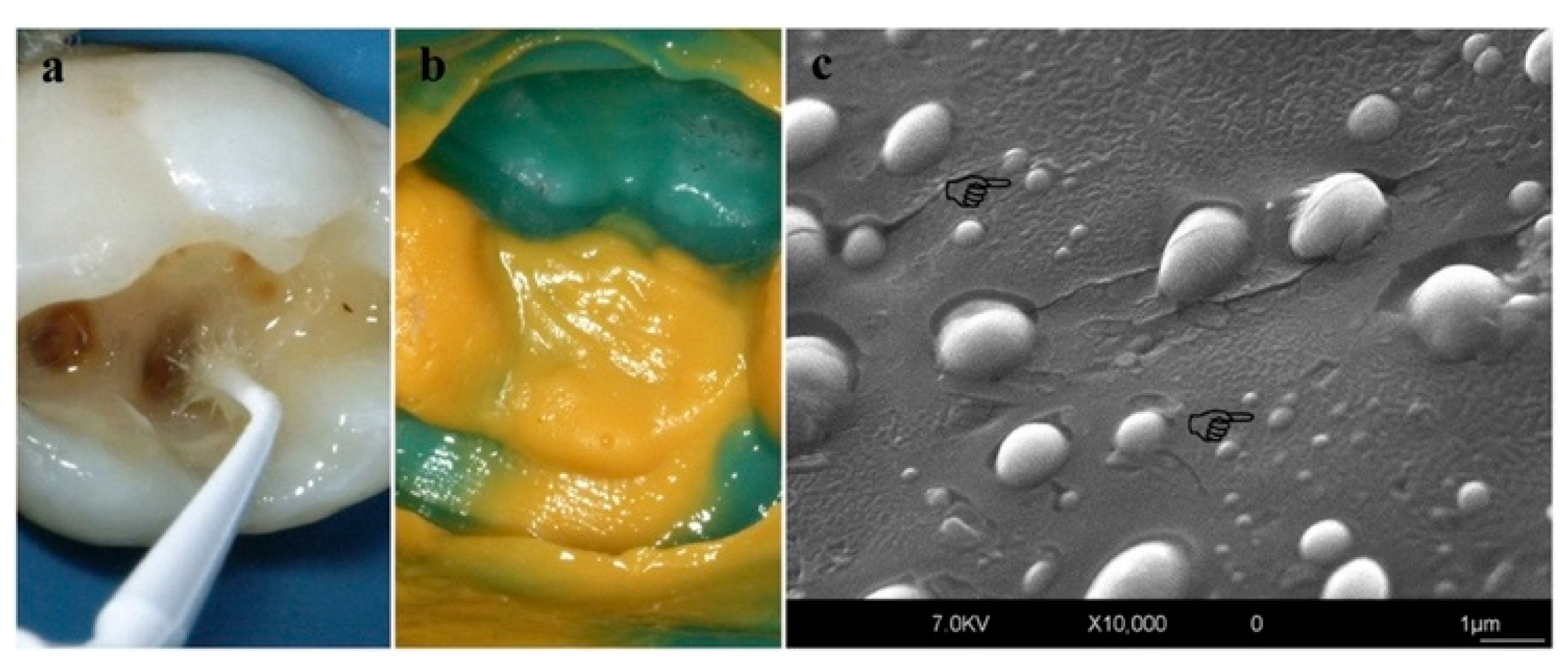 Applsci 14 08111 g018