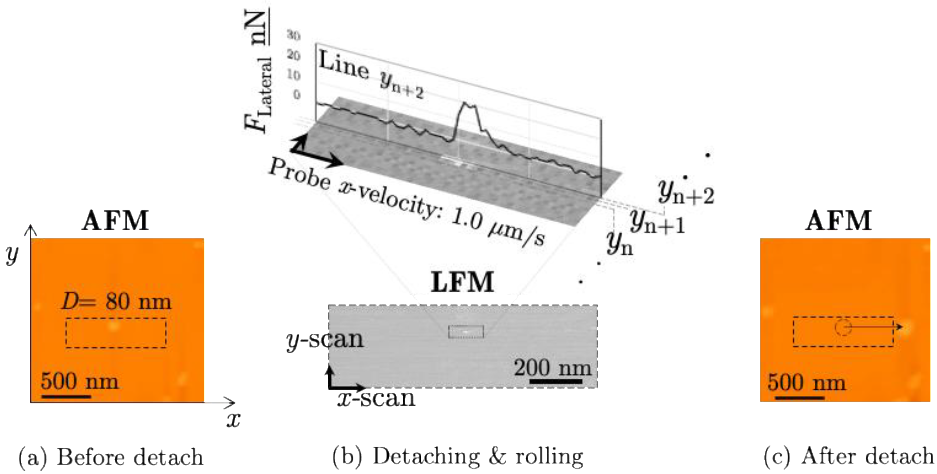 Applsci 14 08145 g003