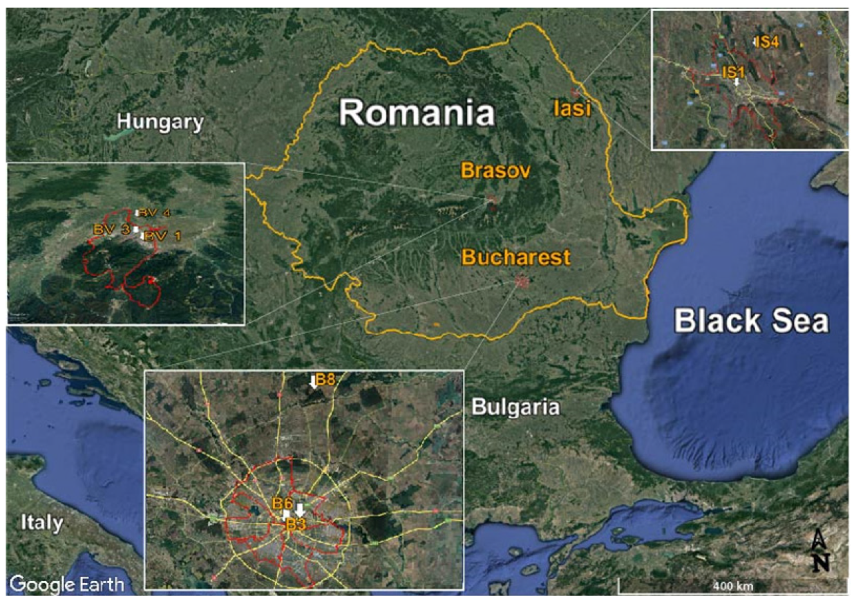 Applsci 14 08169 g001