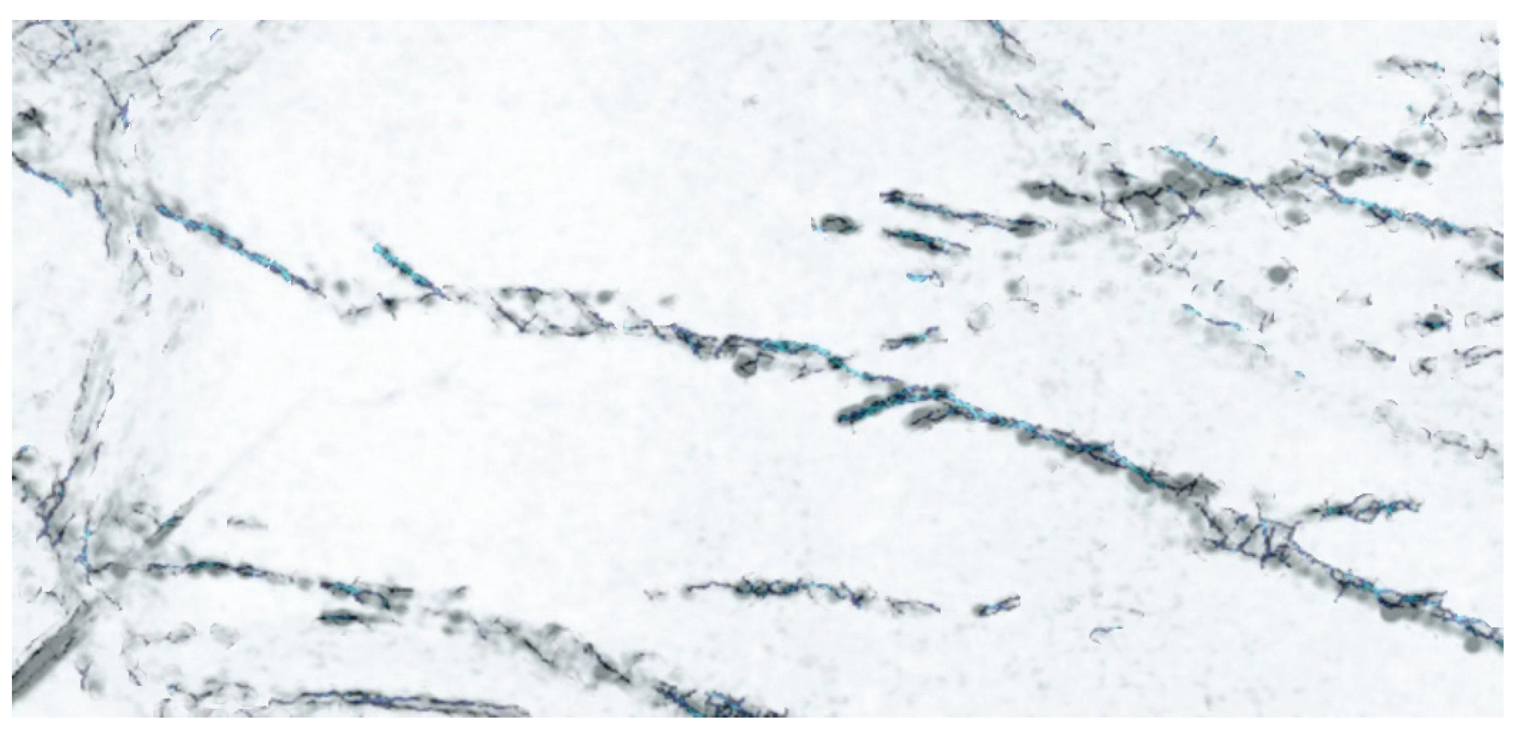 Applsci 14 08235 g010