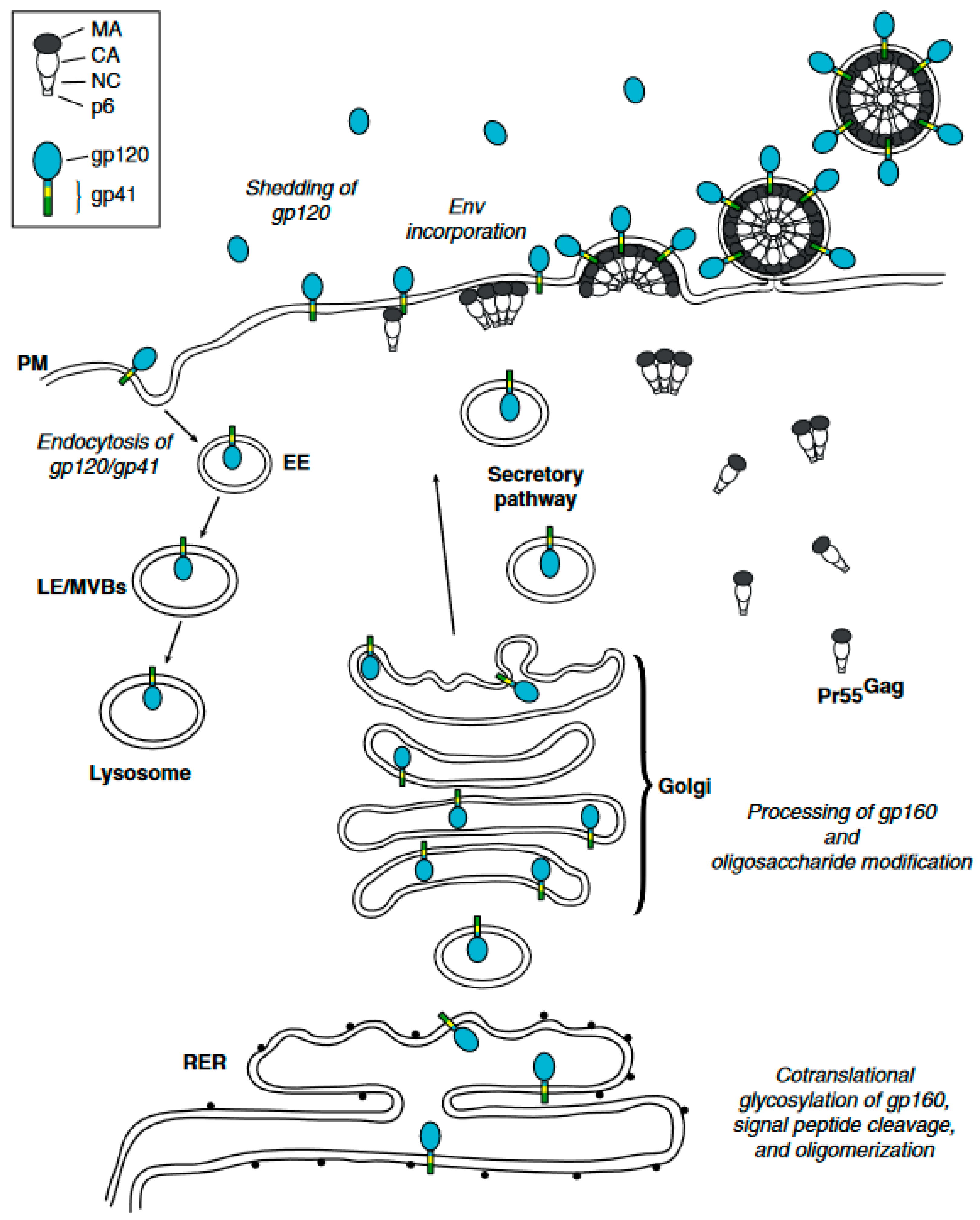 Applsci 14 08271 g001
