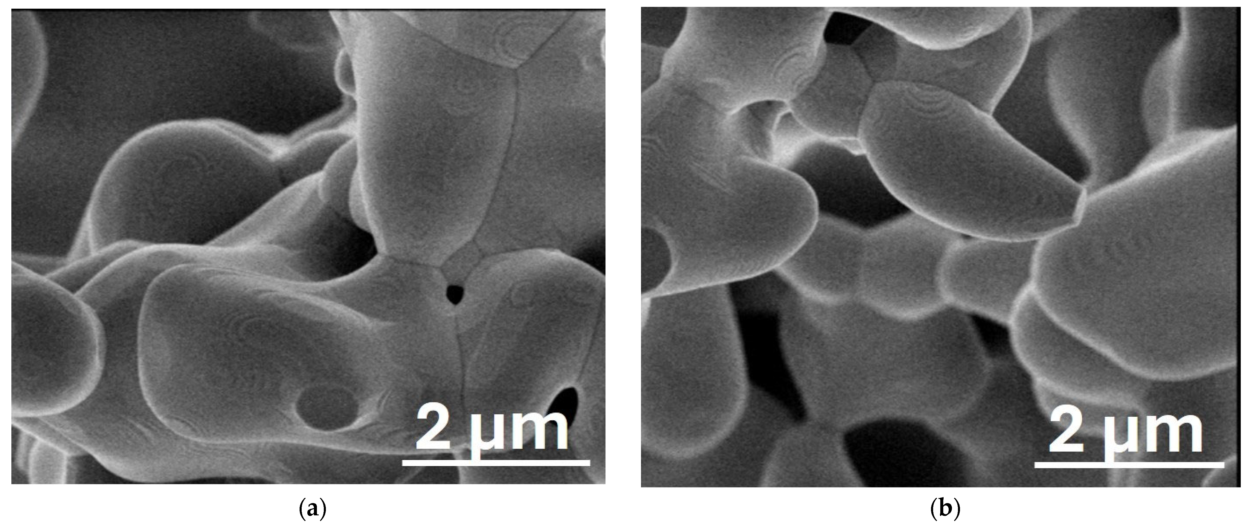 Applsci 14 08272 g012