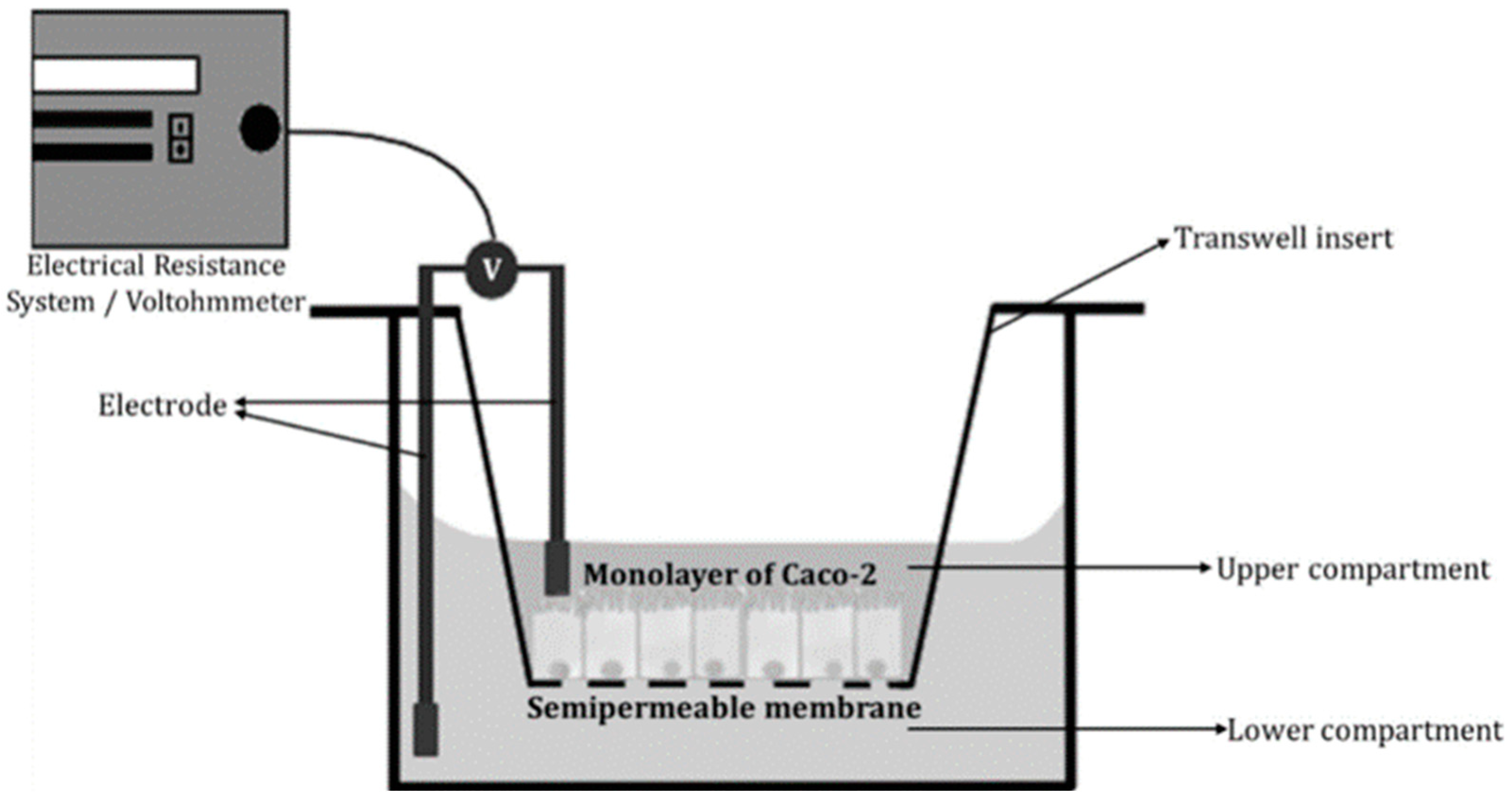 Applsci 14 08320 g004