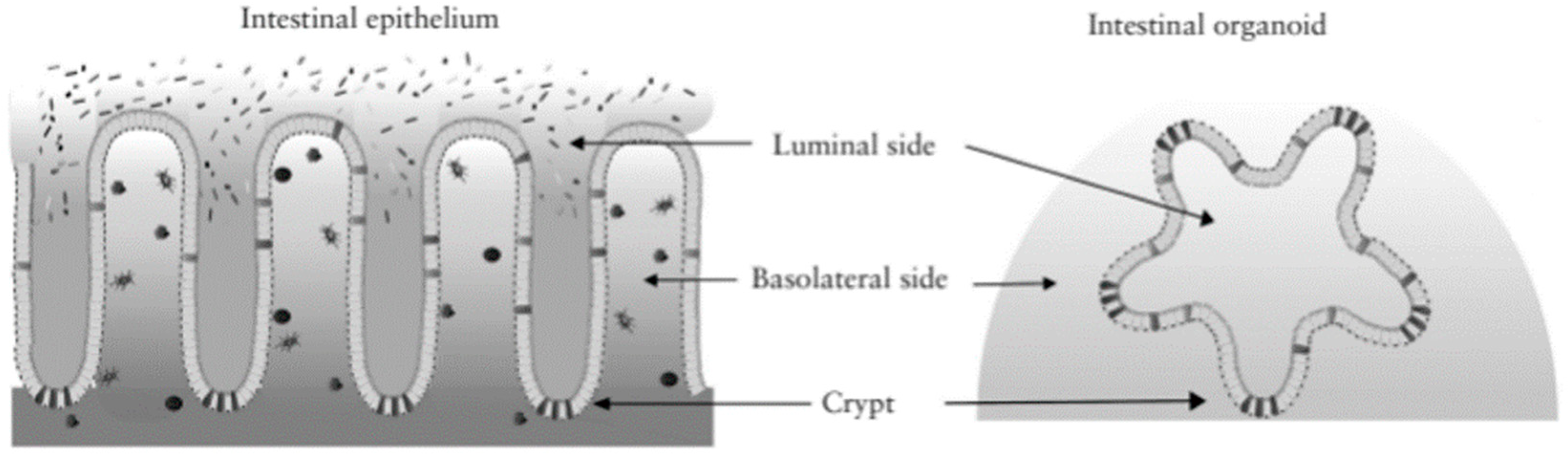 Applsci 14 08320 g005