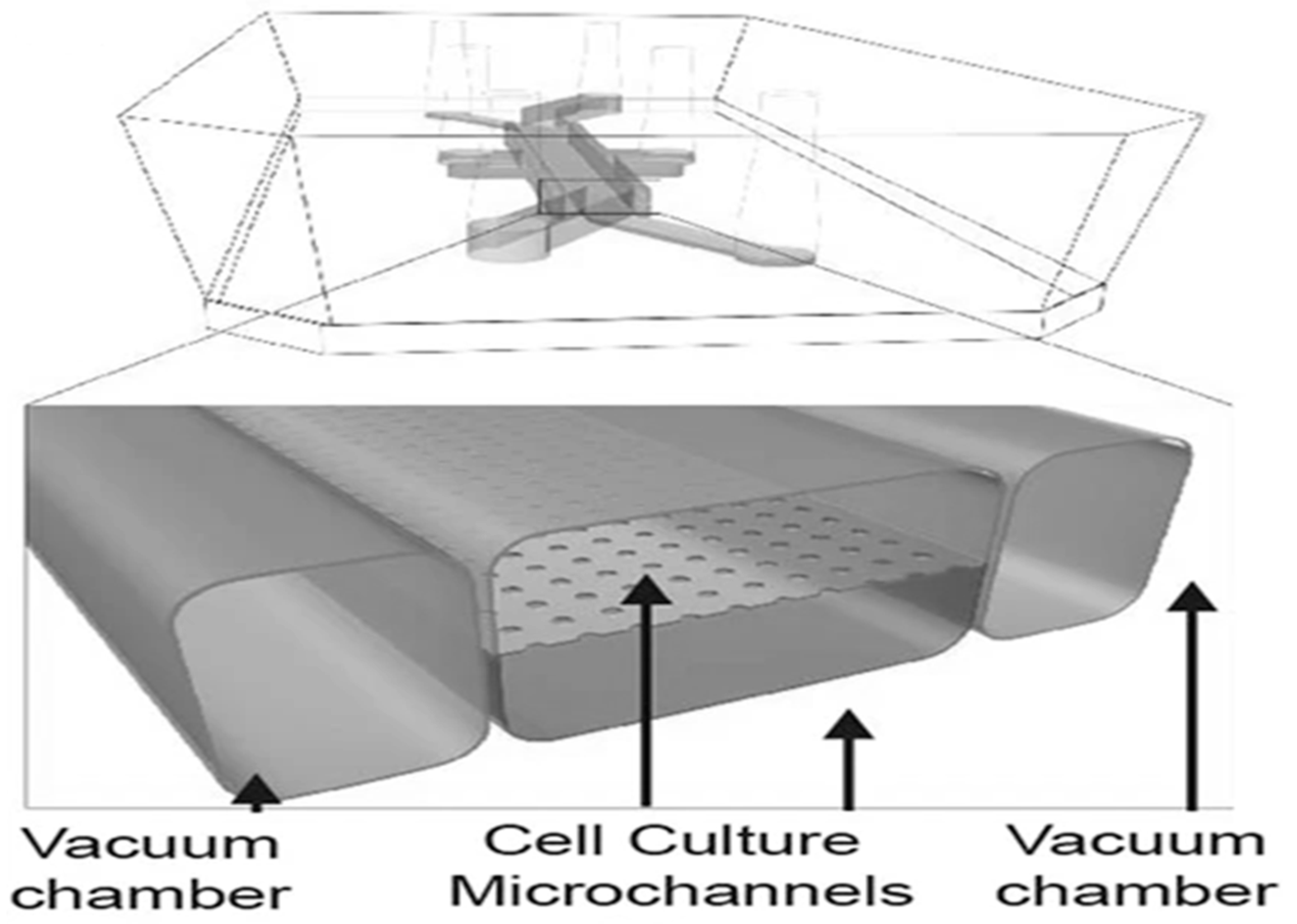 Applsci 14 08320 g006