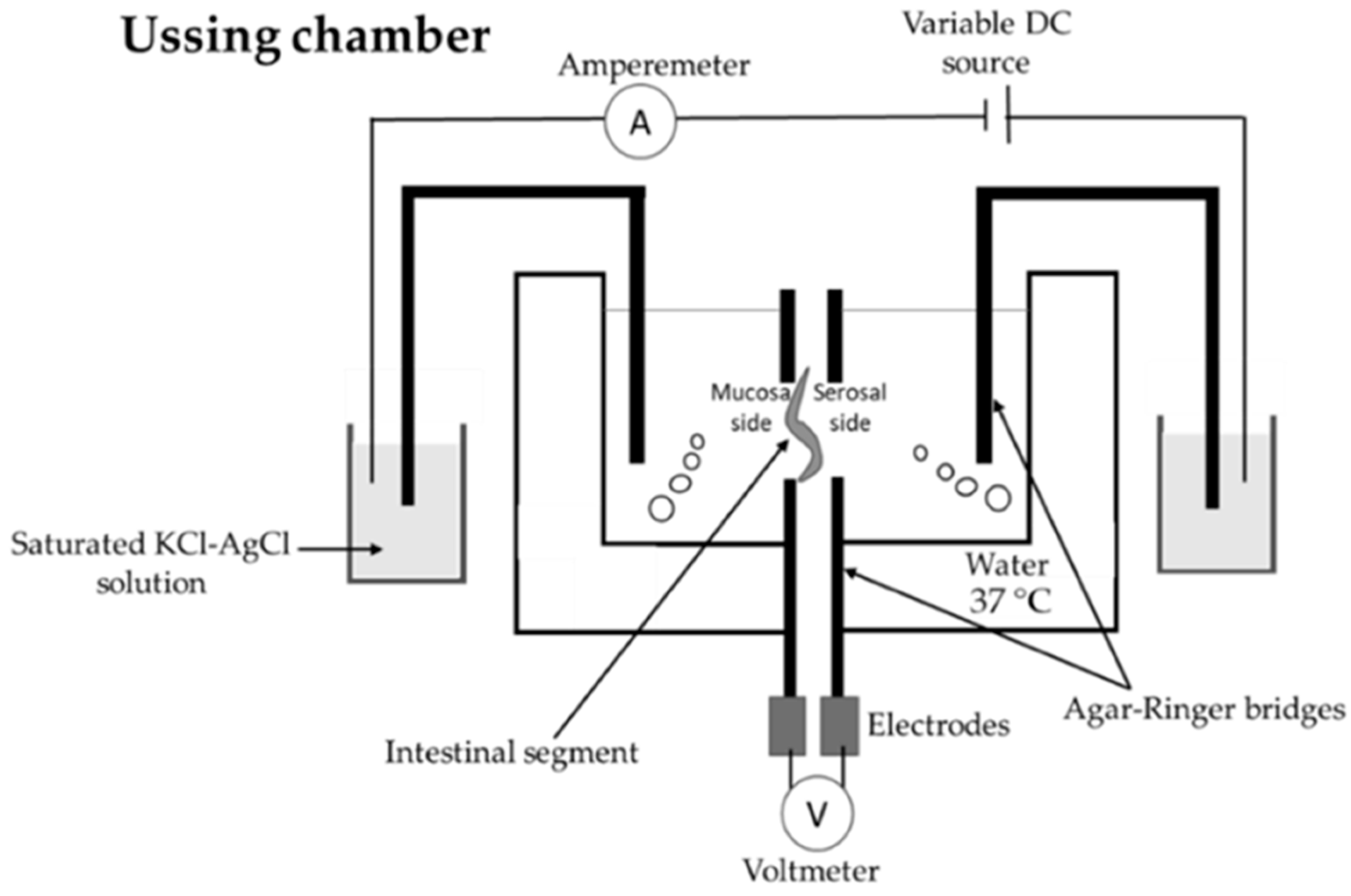 Applsci 14 08320 g008