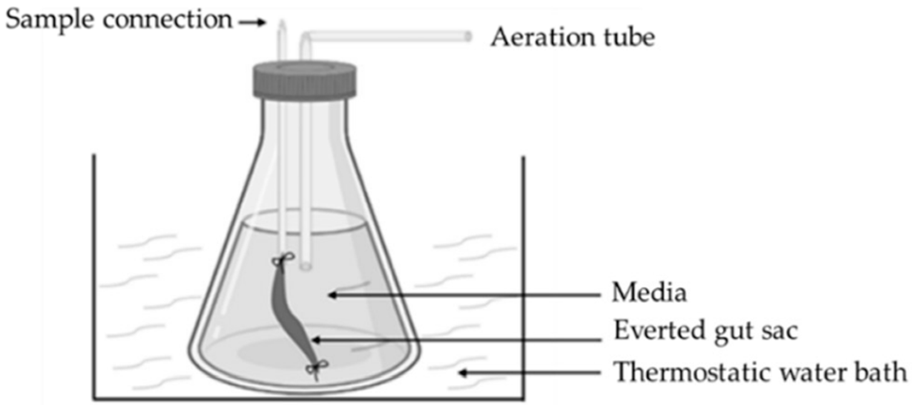 Applsci 14 08320 g009