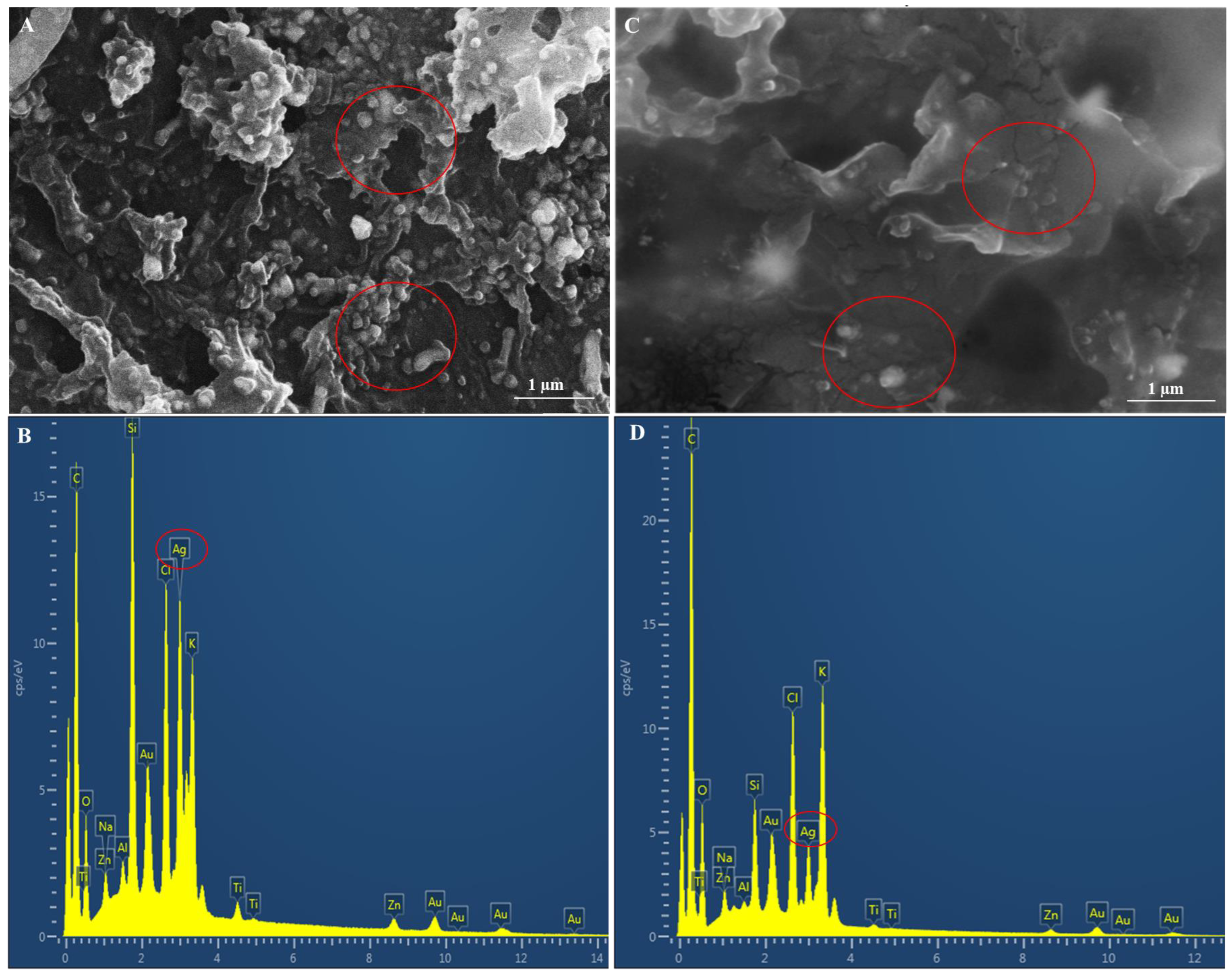 Applsci 14 08331 g003