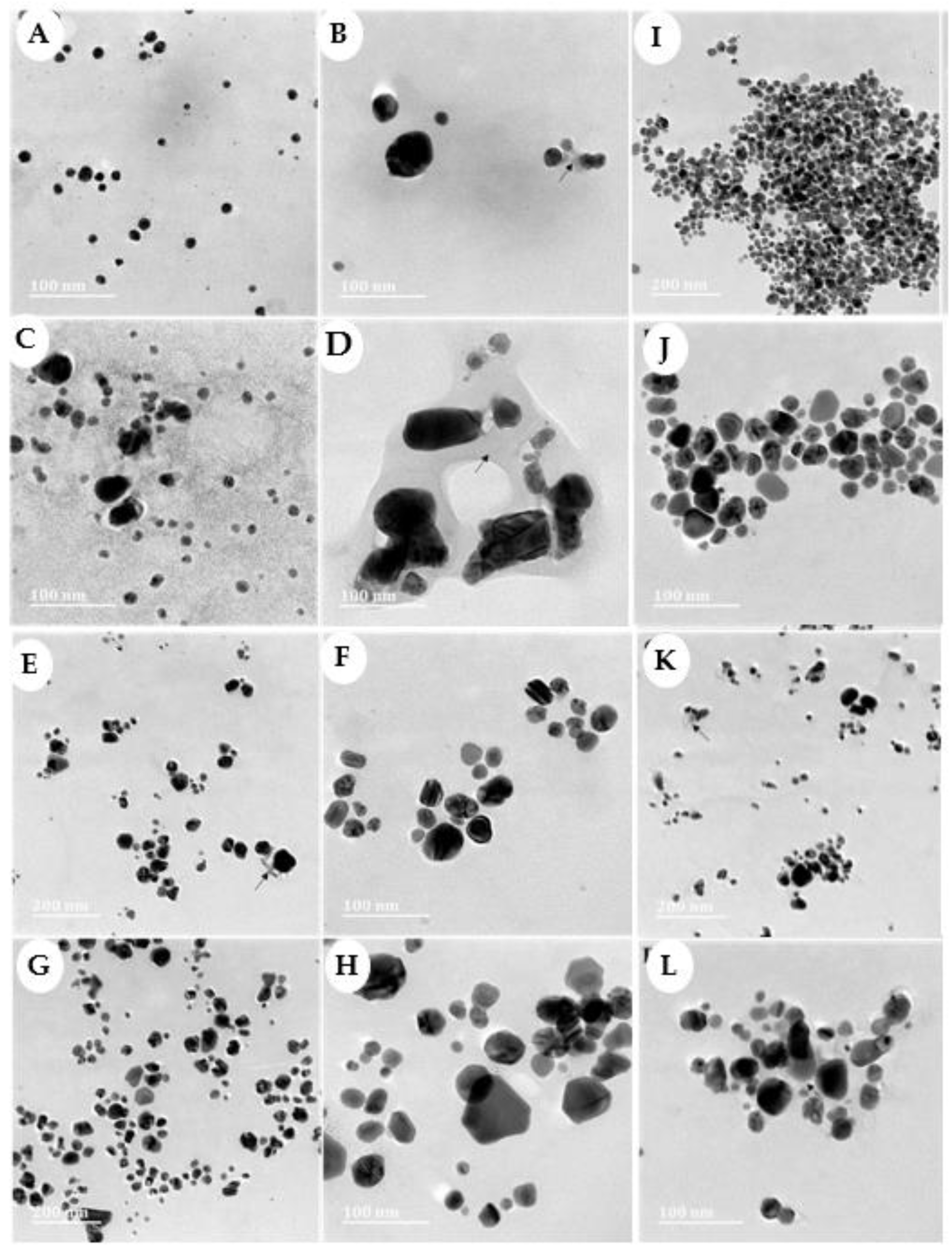 Applsci 14 08331 g006