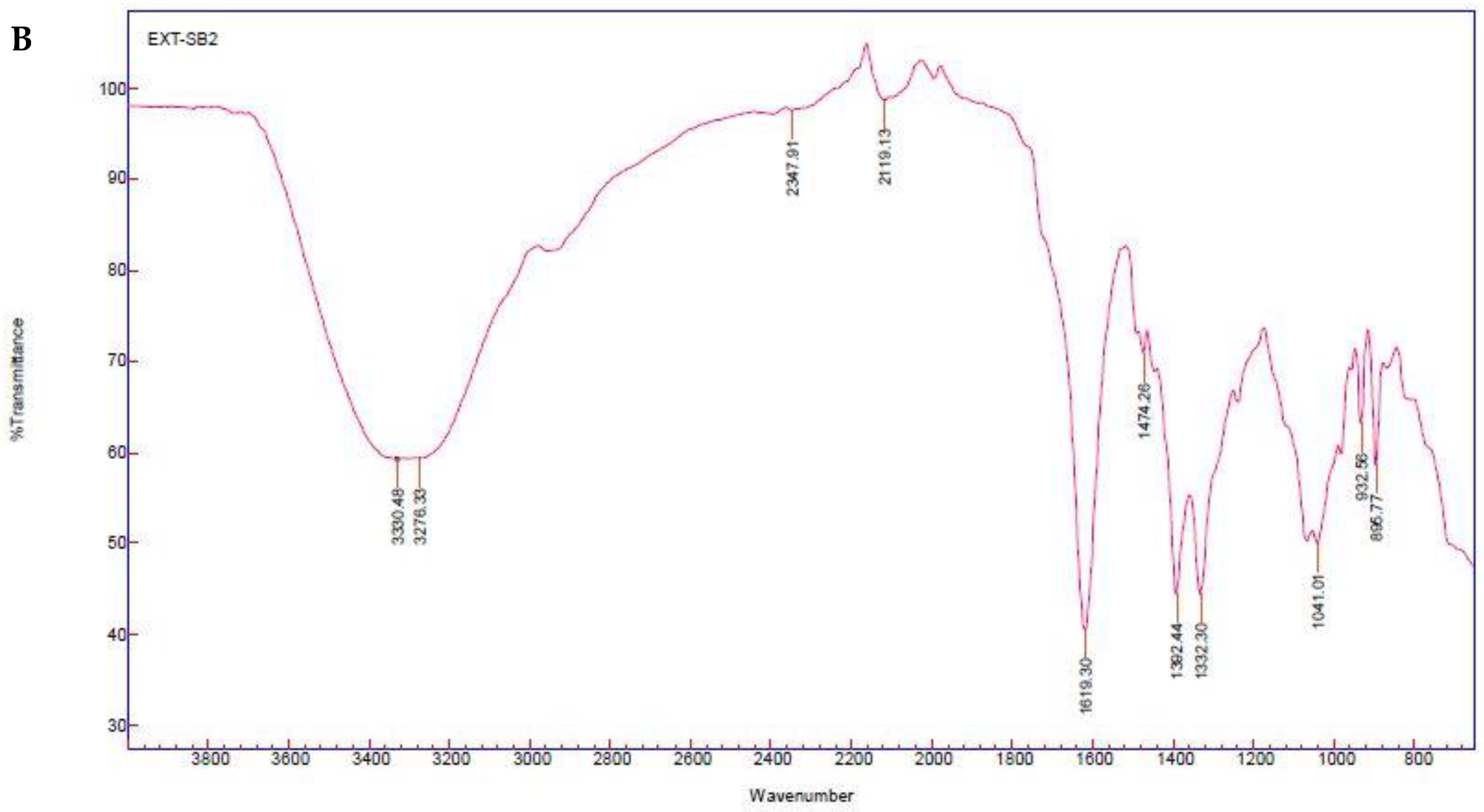 Applsci 14 08331 g008b