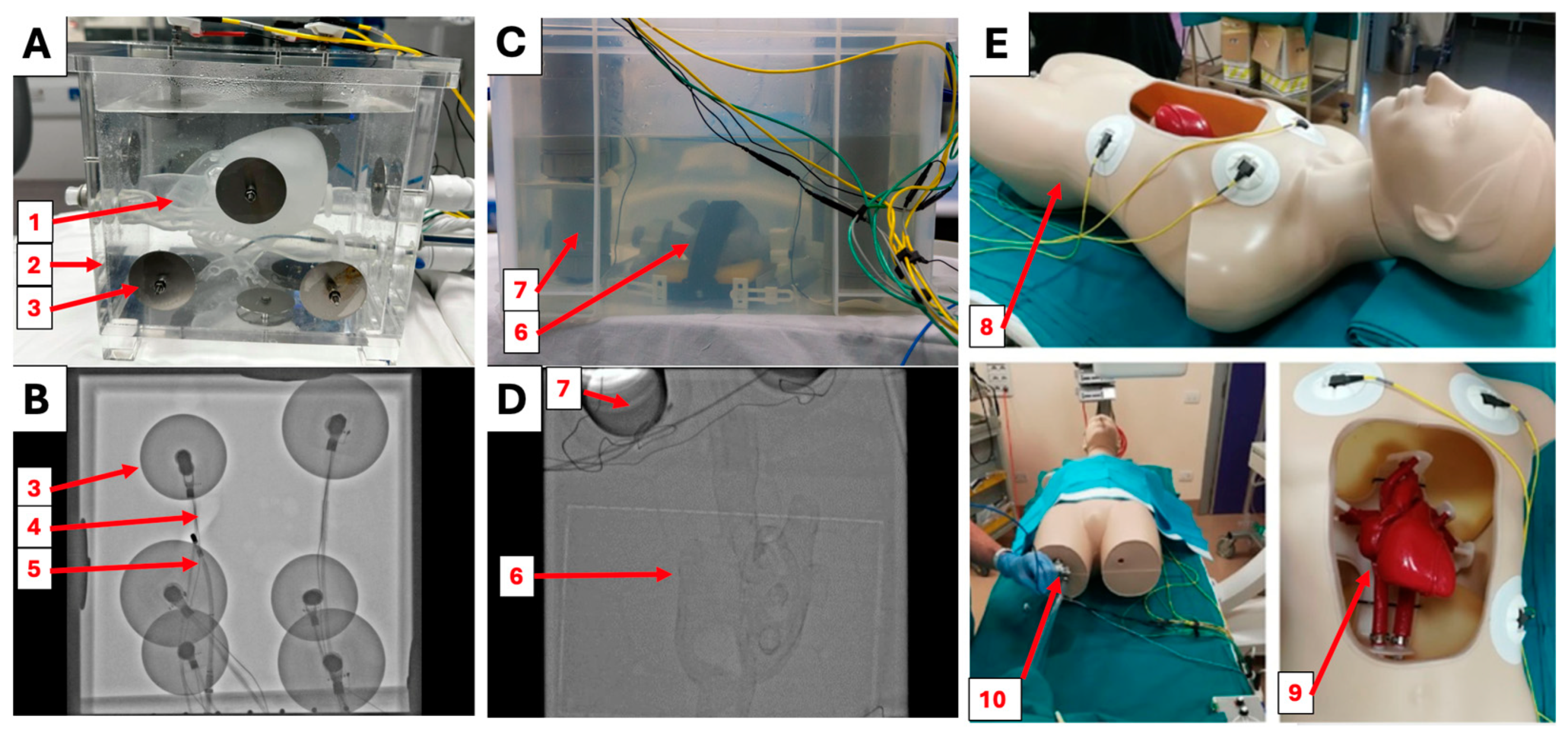 Applsci 14 08423 g001