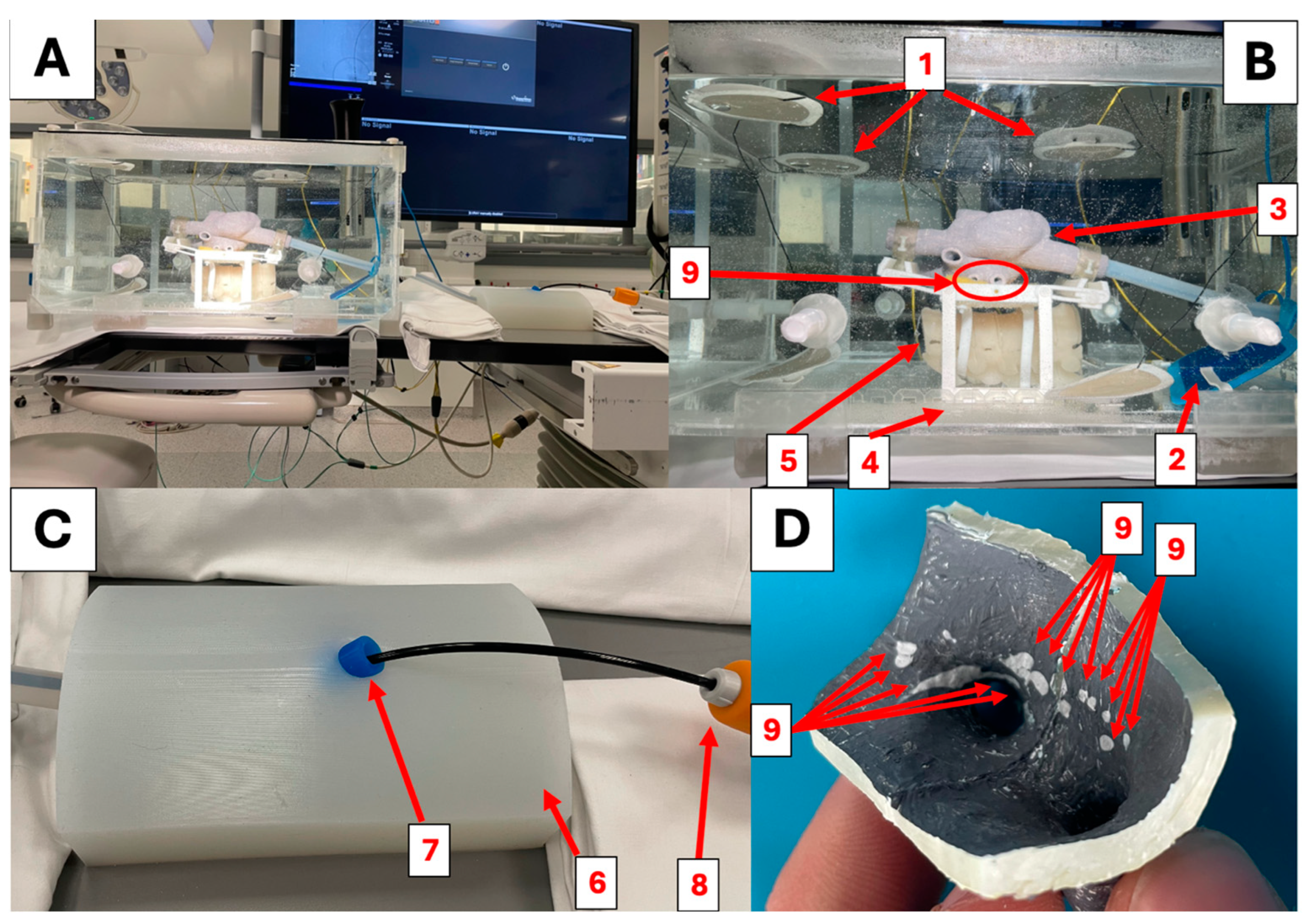 Applsci 14 08423 g005