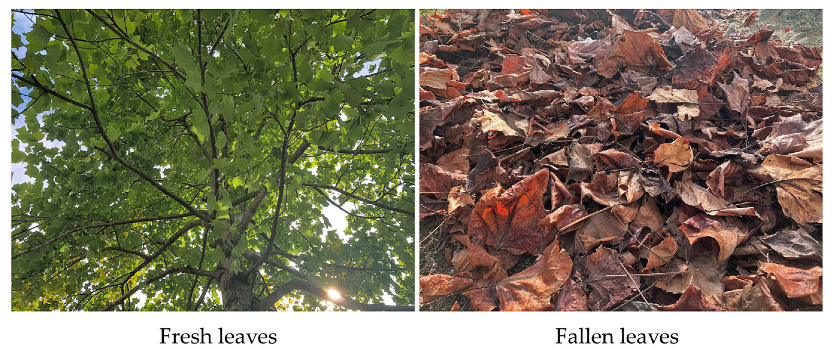 Applsci 14 08437 g001