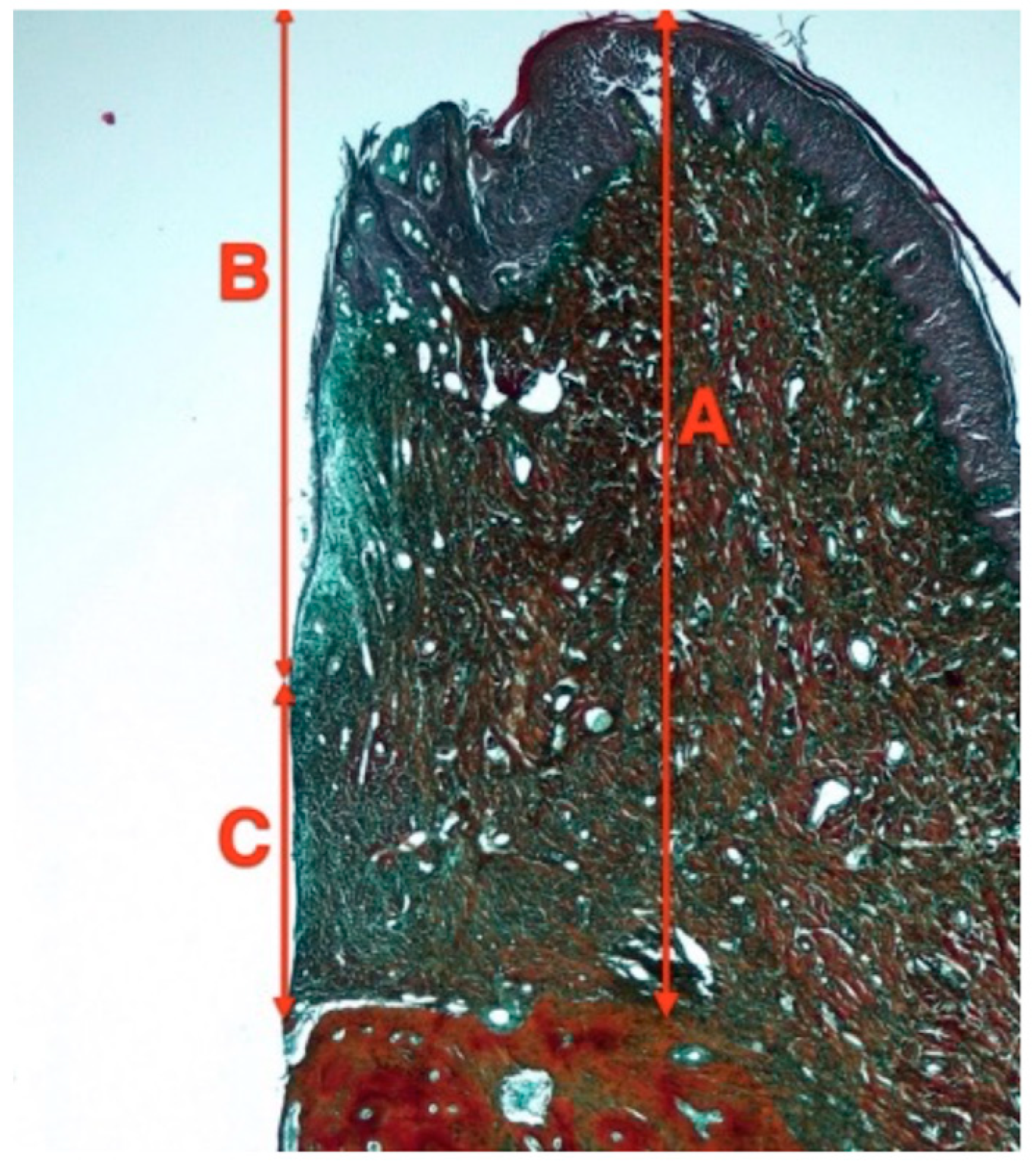 Applsci 14 08469 g004