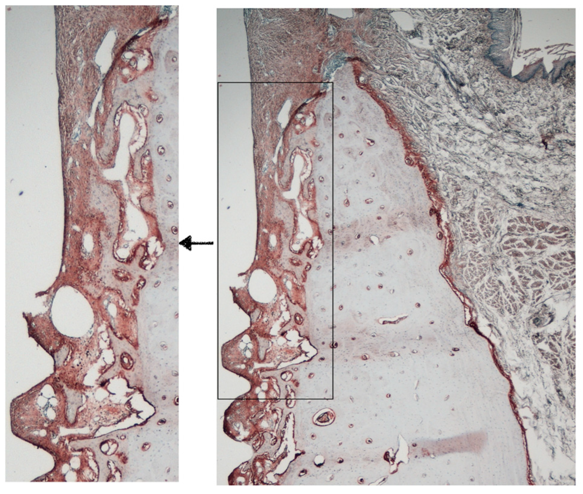 Applsci 14 08469 g005