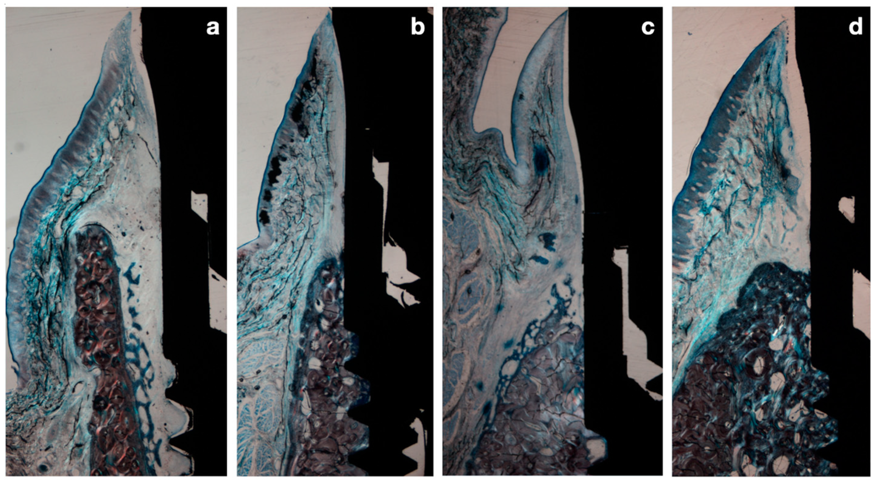 Applsci 14 08469 g006