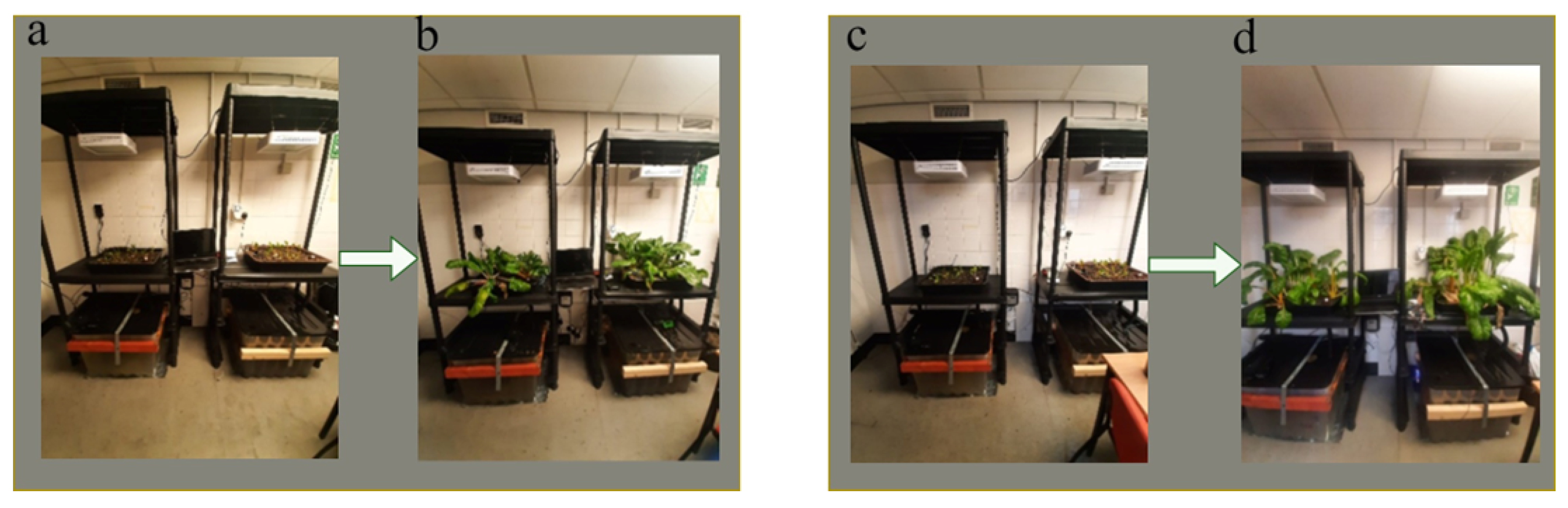 Applsci 14 08516 g003