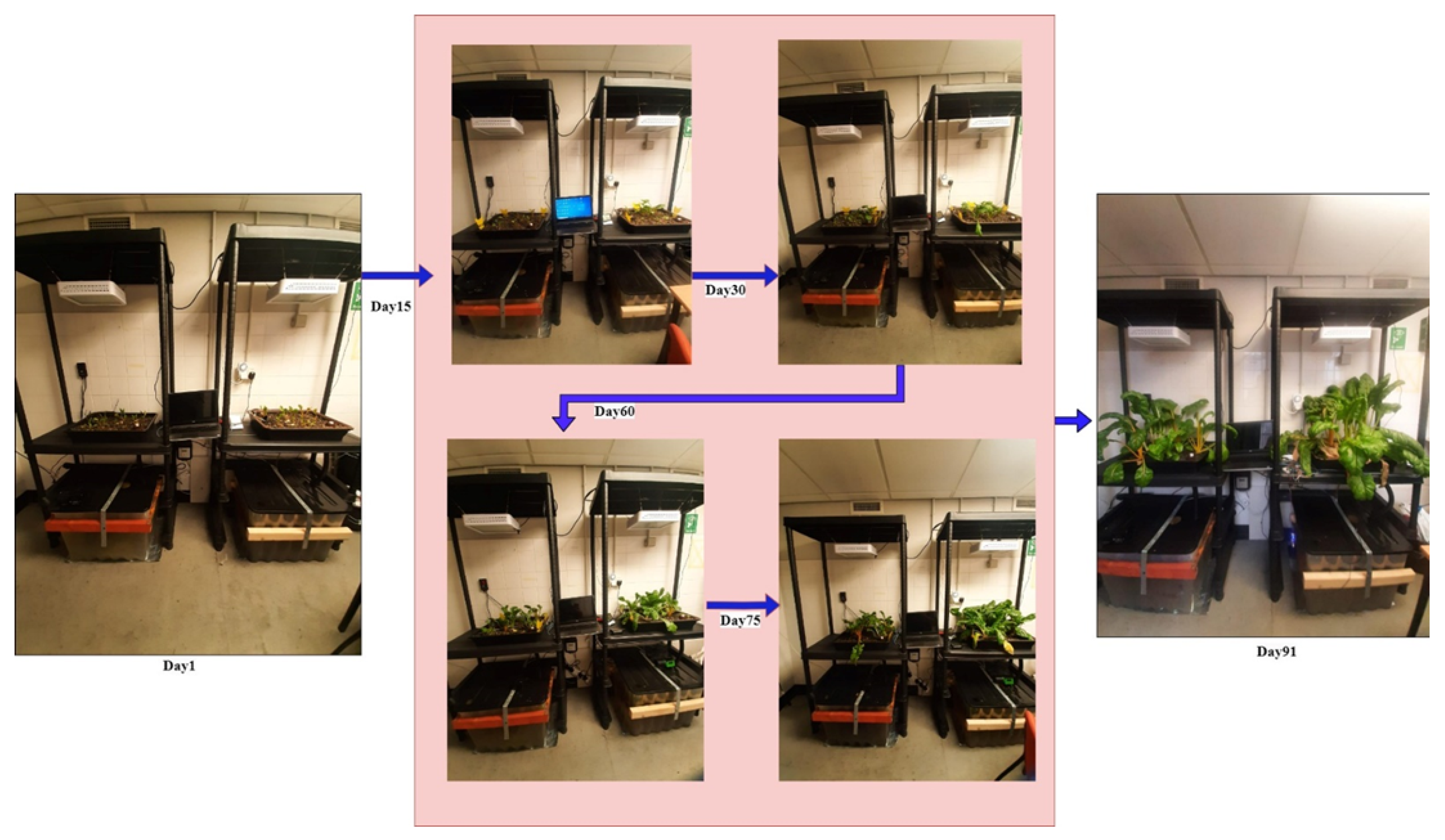 Applsci 14 08516 g004