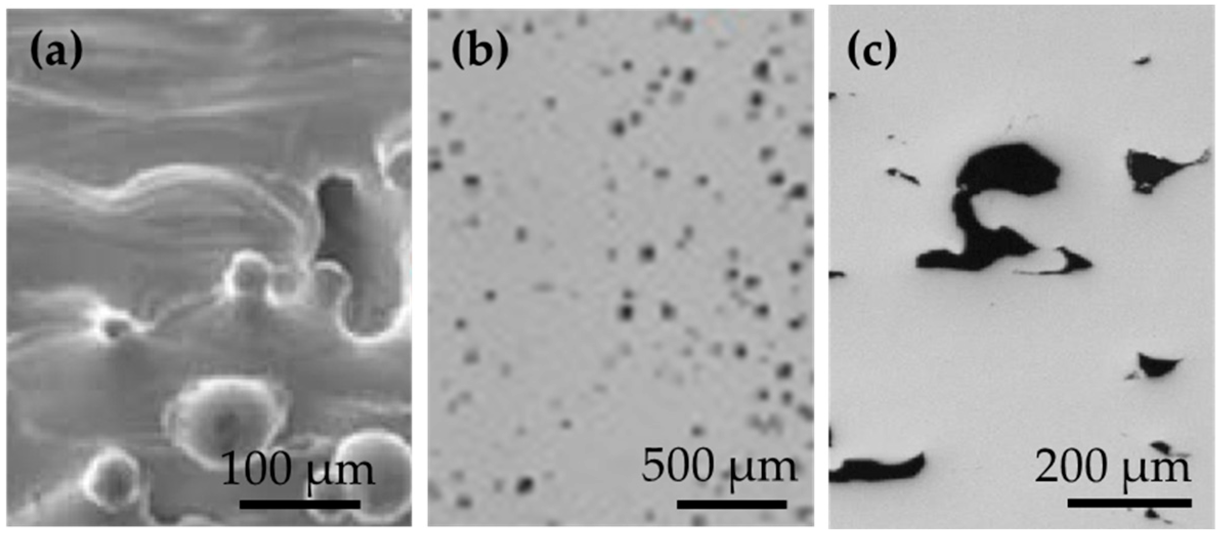 Applsci 14 08534 g002