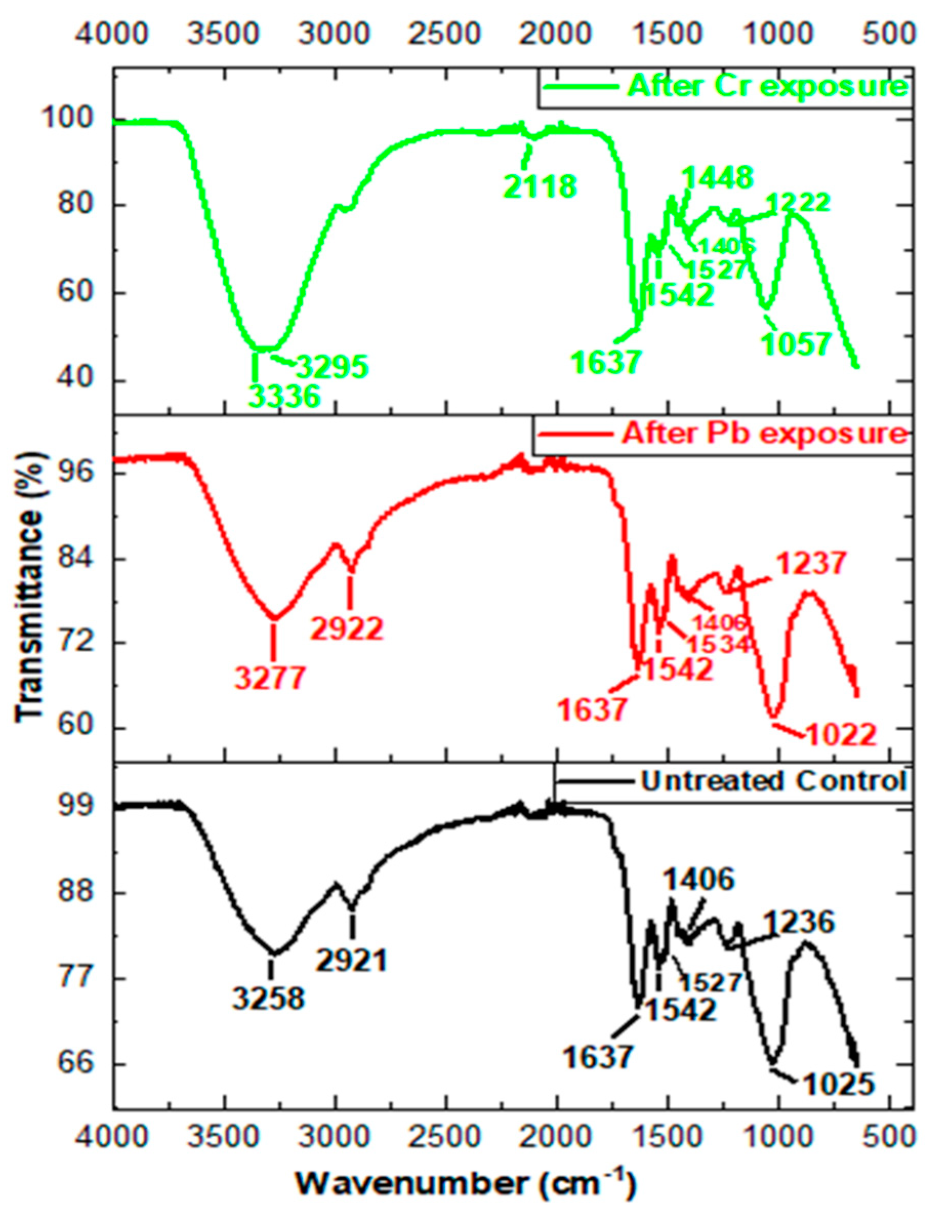 Applsci 14 08551 g006