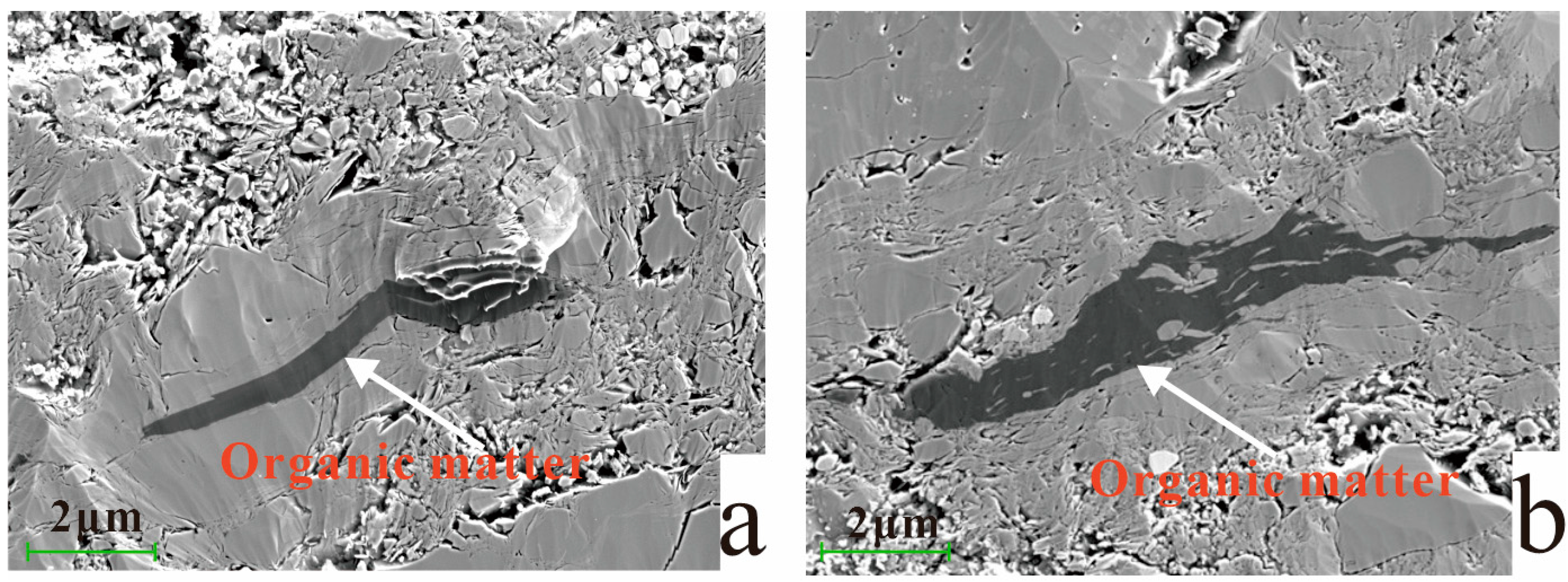 Applsci 14 08594 g004
