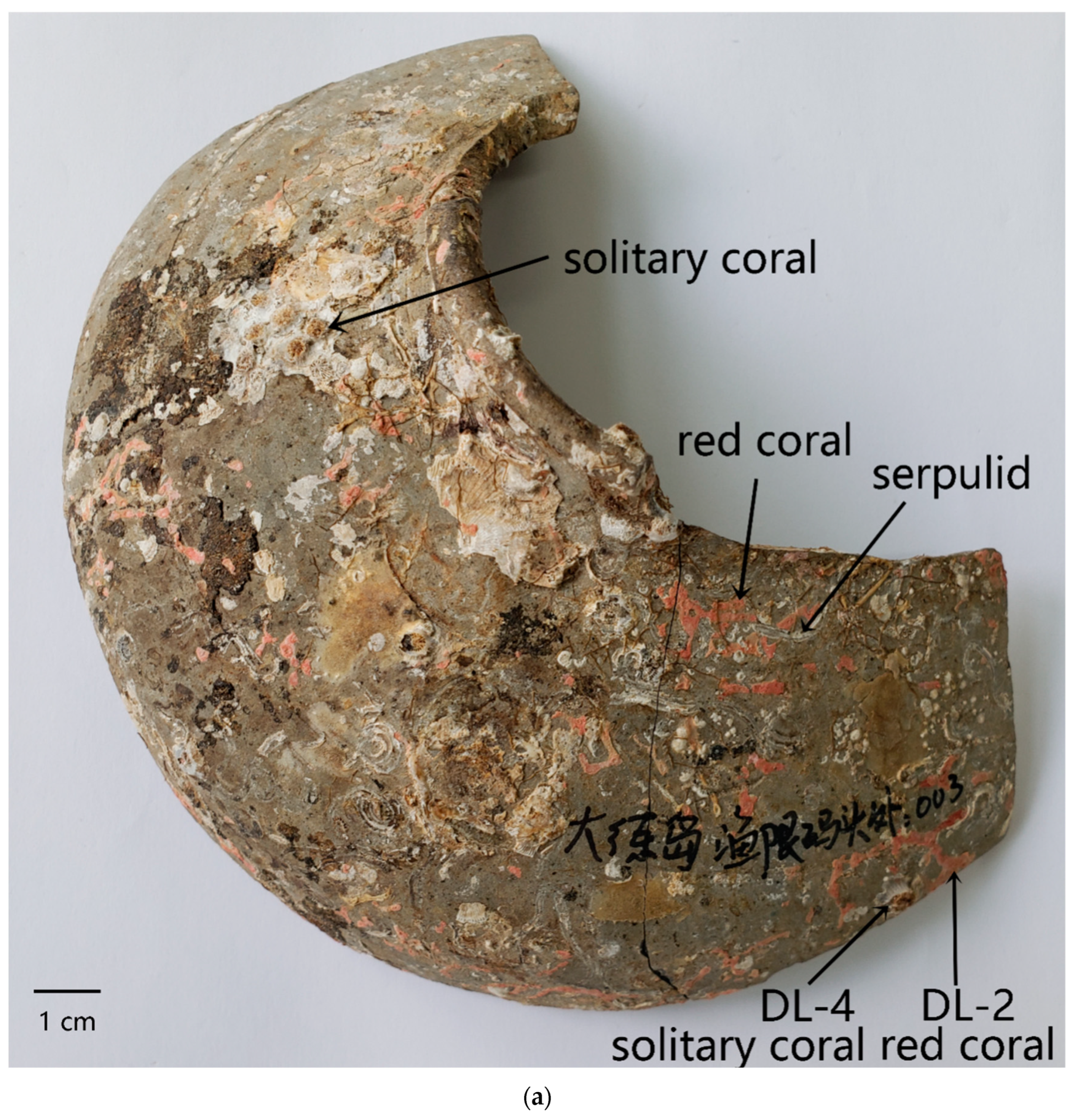 Applsci 14 08596 g001a