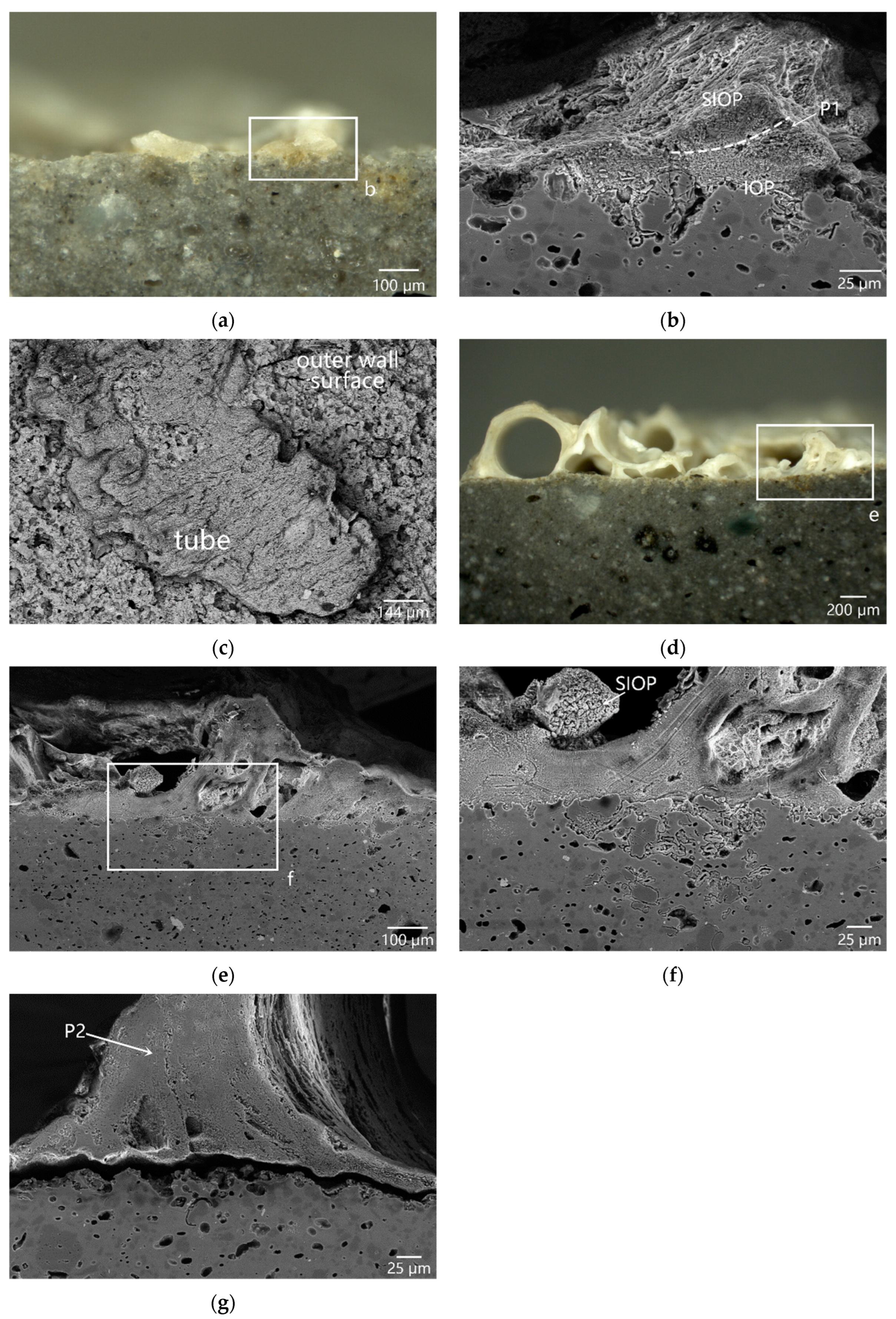 Applsci 14 08596 g004